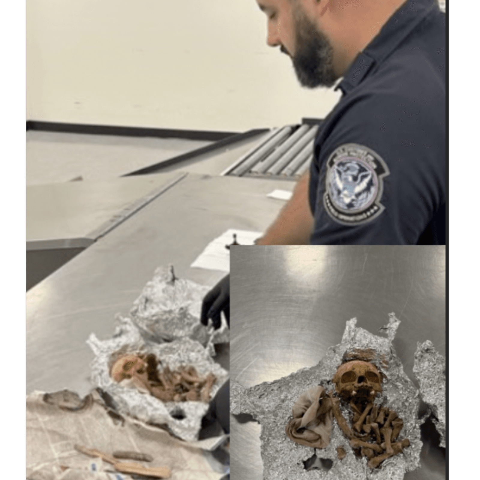 Human remains found in luggage at Florida airport - Hunting the Dead: Where Horror Is Real cover