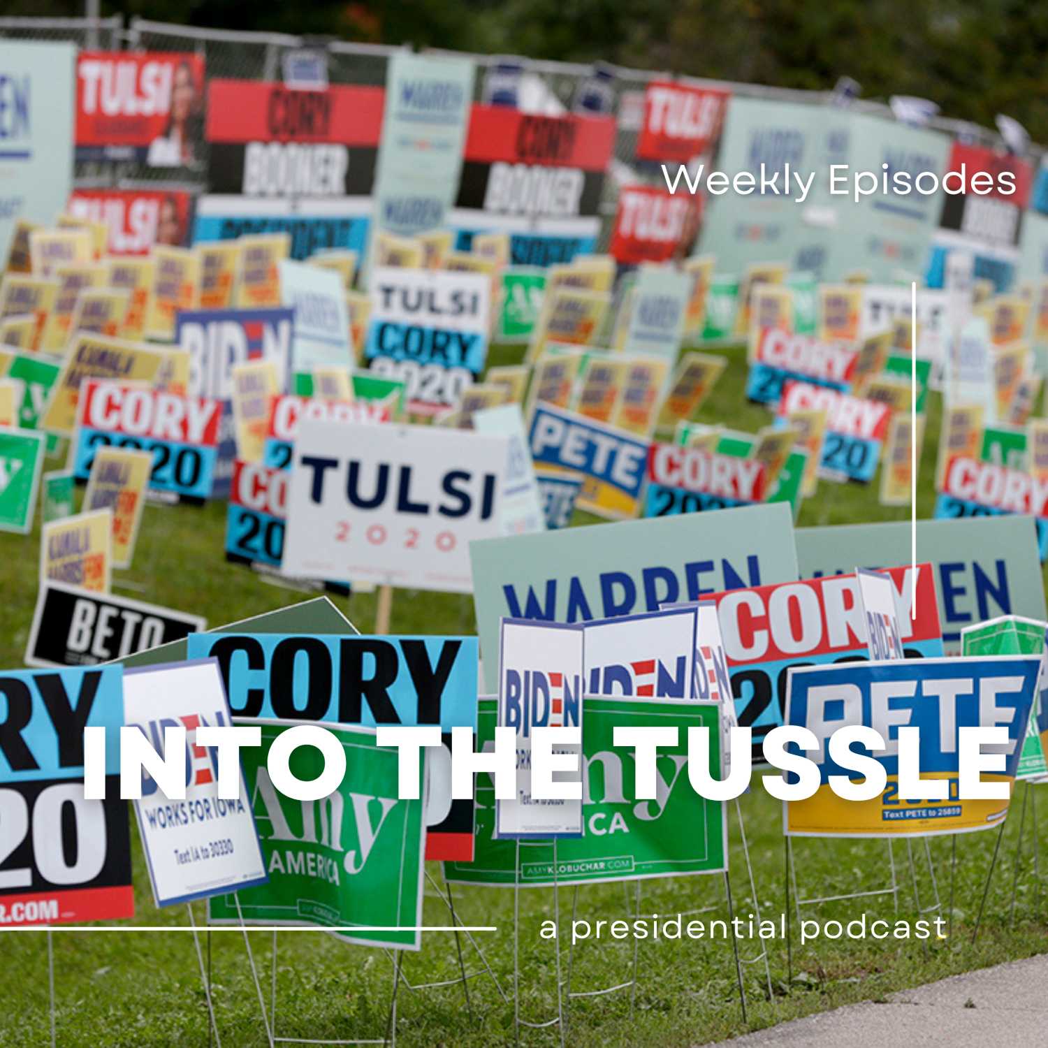 Vivek Ramaswamy Is Running For Vice President - Here's Why - Into The Tussle cover