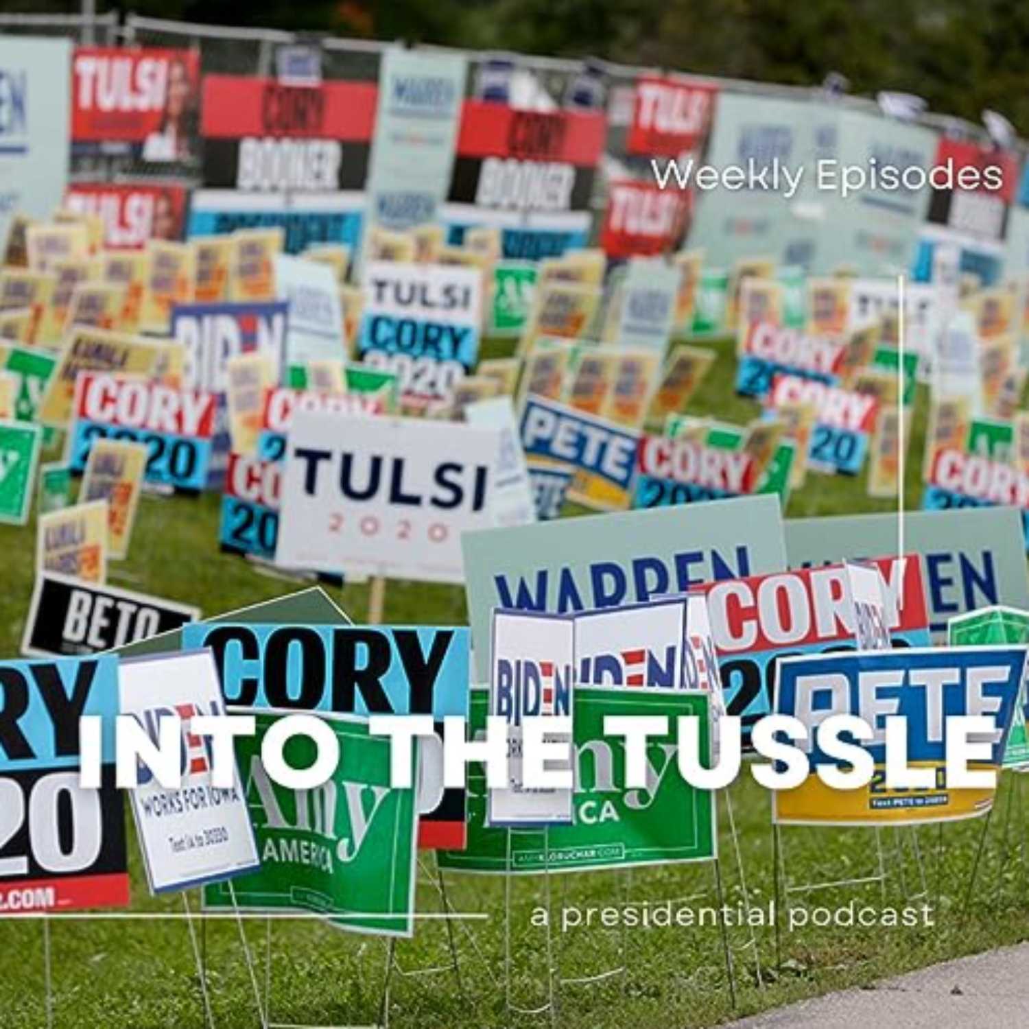 Donald Trump supporters find community  - Into The Tussle cover