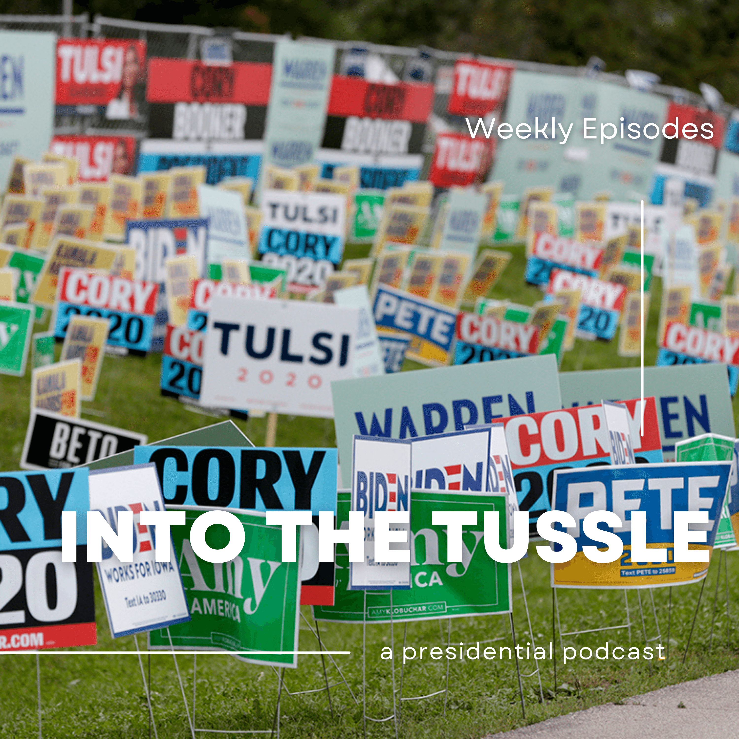 My Takeaways From This Presidential Primary  - Into The Tussle cover