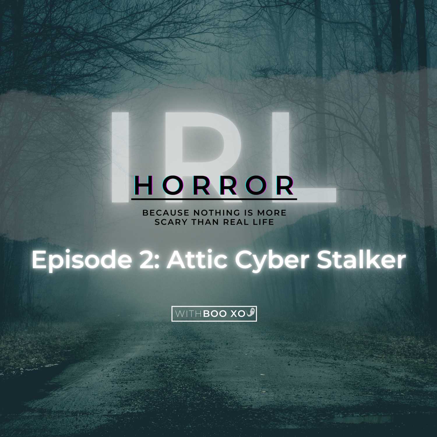 Attic Cyber Stalker - IRL Horror cover