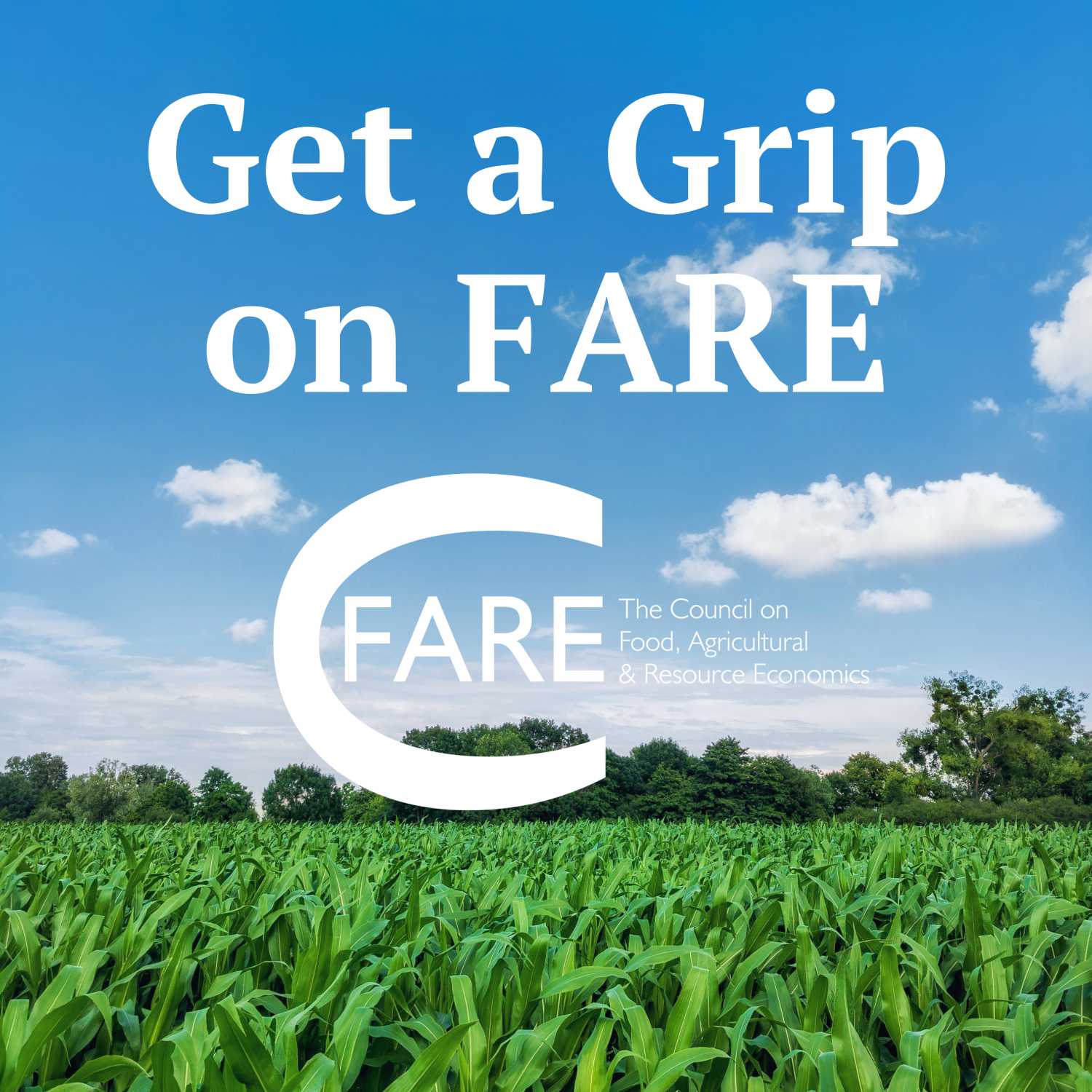 Meeting ERS - Get a Grip on FARE cover