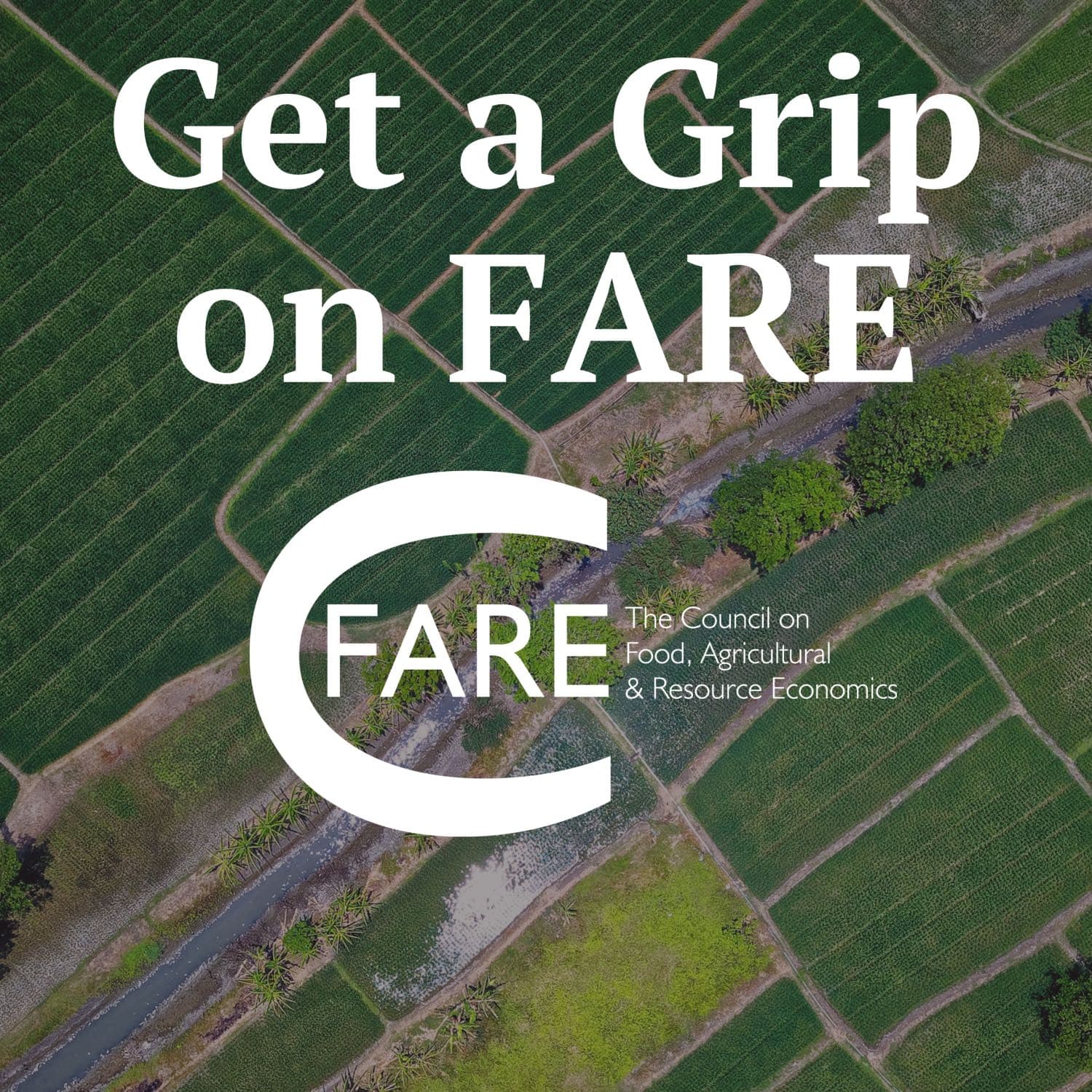 Meeting NASS - Get a Grip on FARE cover