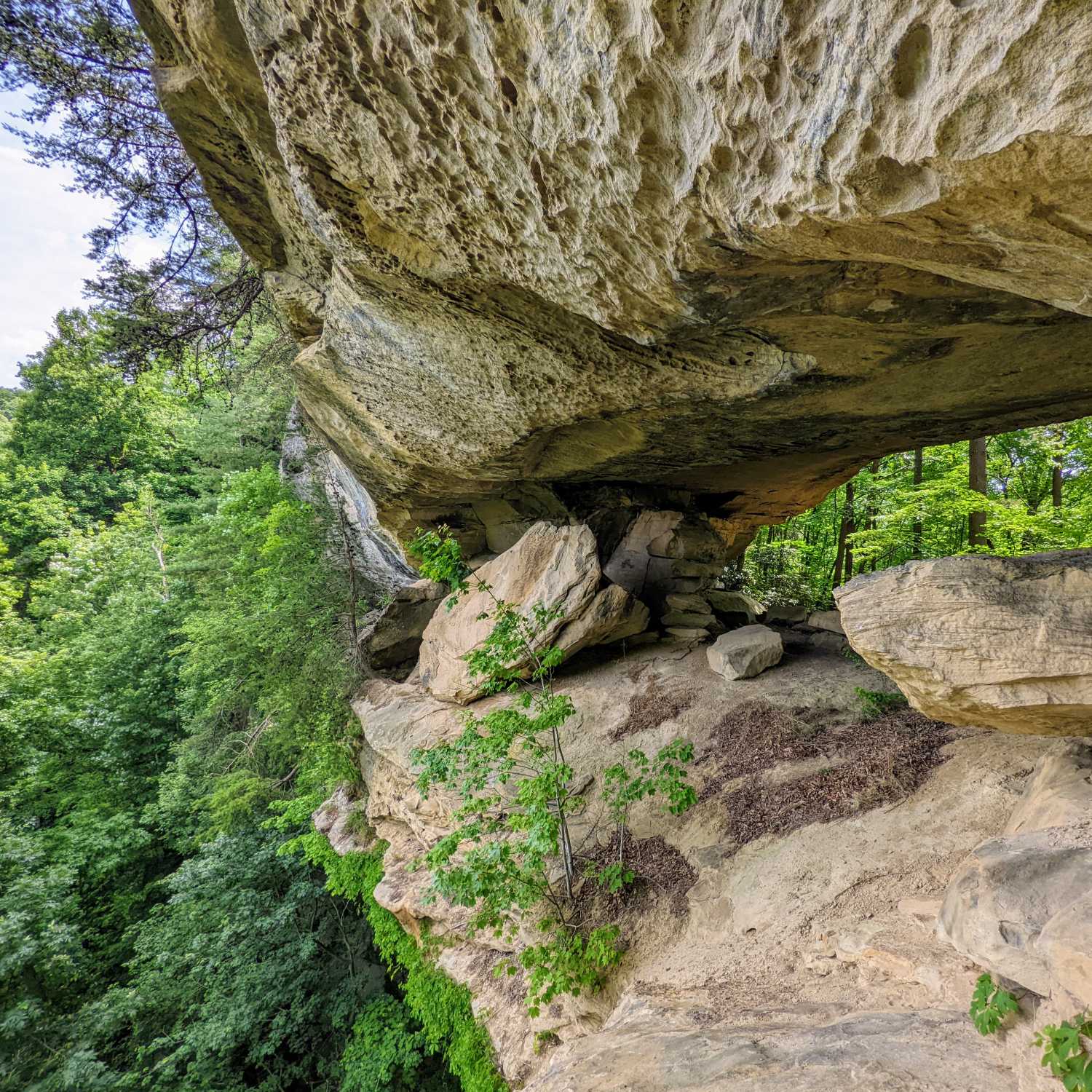 Kentucky Hiker Project Podcast cover