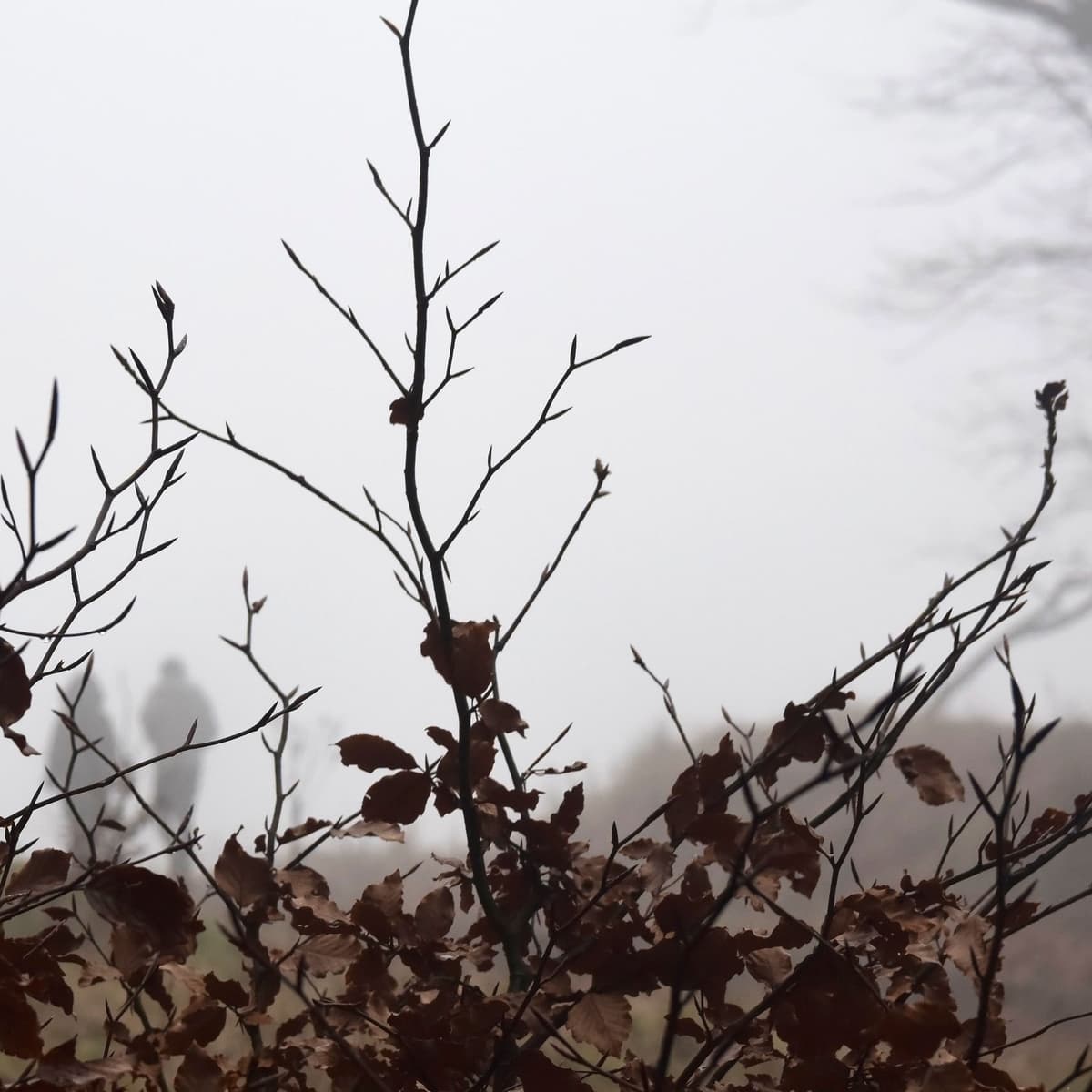 Vanished Without a Trace: The World’s Most Baffling Disappearances  - Cold-Blooded: Calculated Killers Unmasked cover