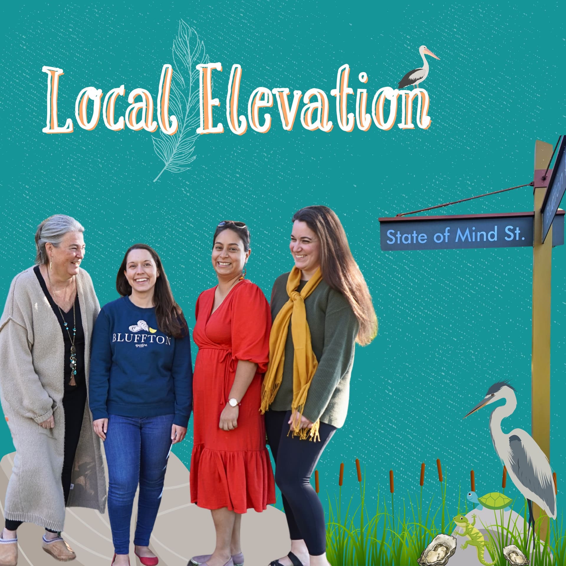 Local Elevation cover