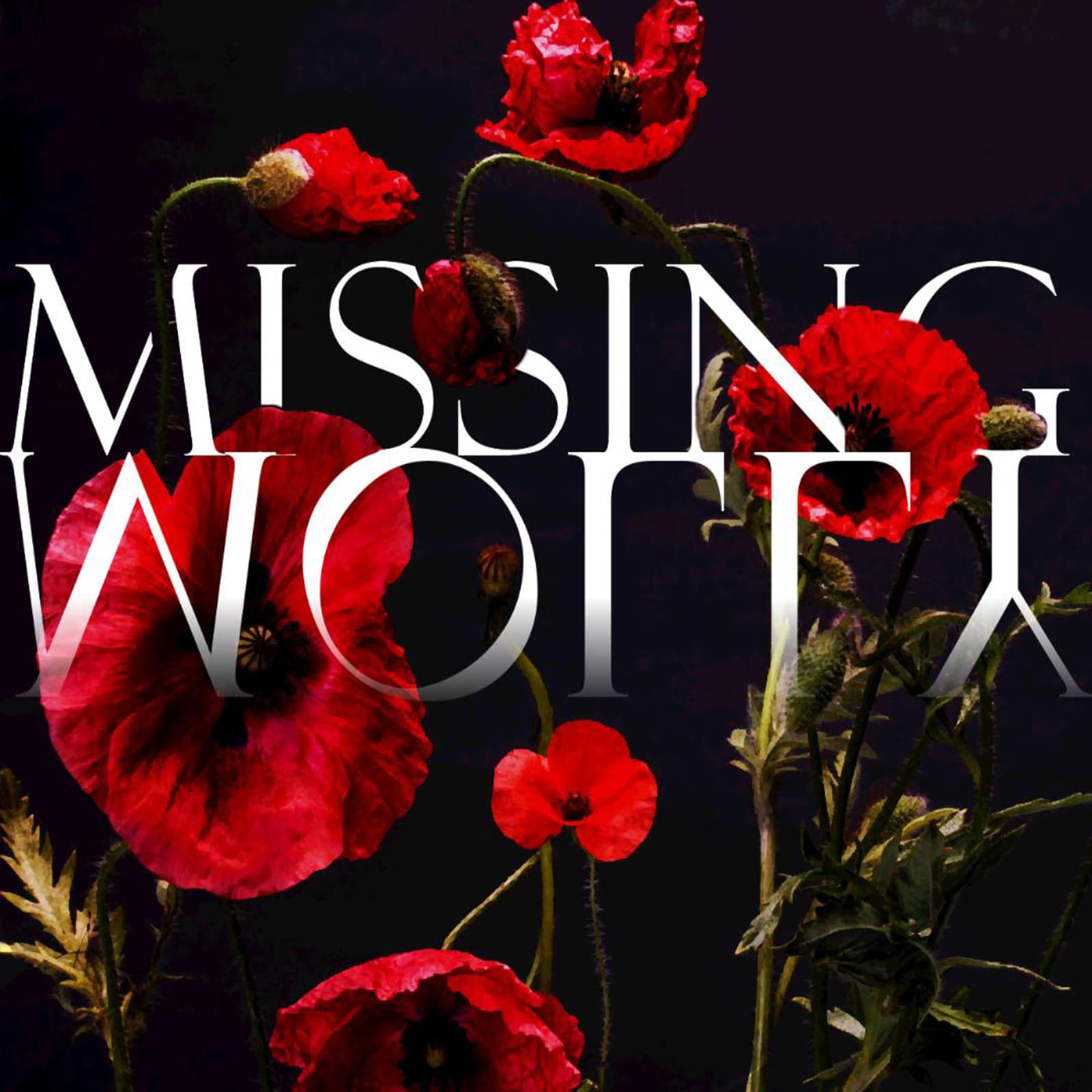 Missing Molly cover