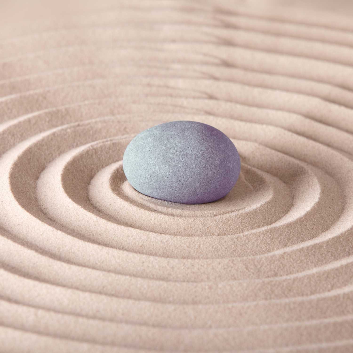 Boundaries: The Secret to Self-Care Success - Monday Mojo cover