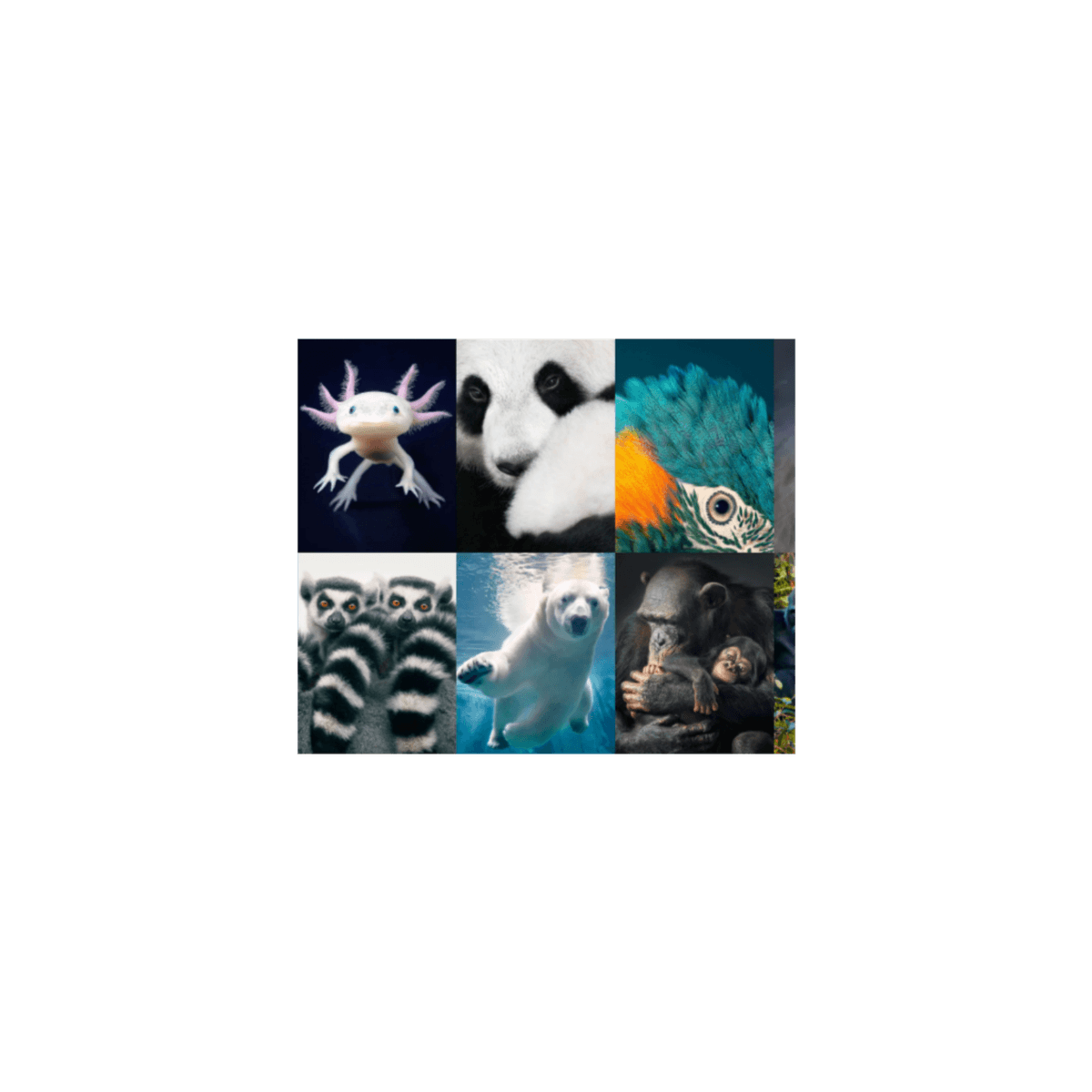 Endangered Species - MPB Podcasts & Audiobooks cover
