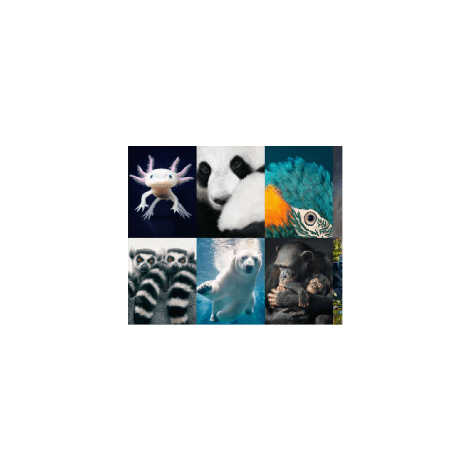 Endangered Species - MPB Podcasts & Audiobooks cover