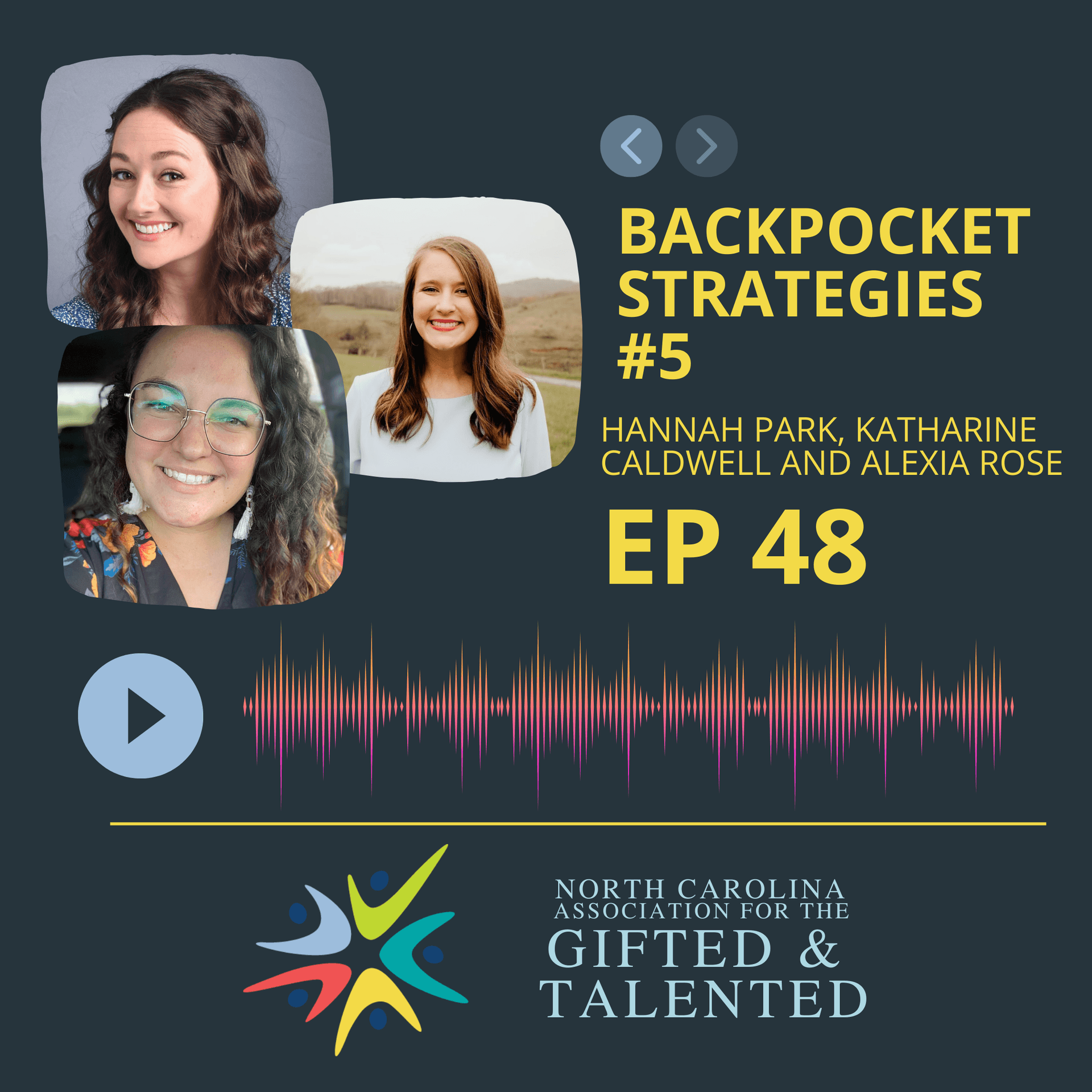 Backpocket Strategies #5 - They'll Be Fine  cover