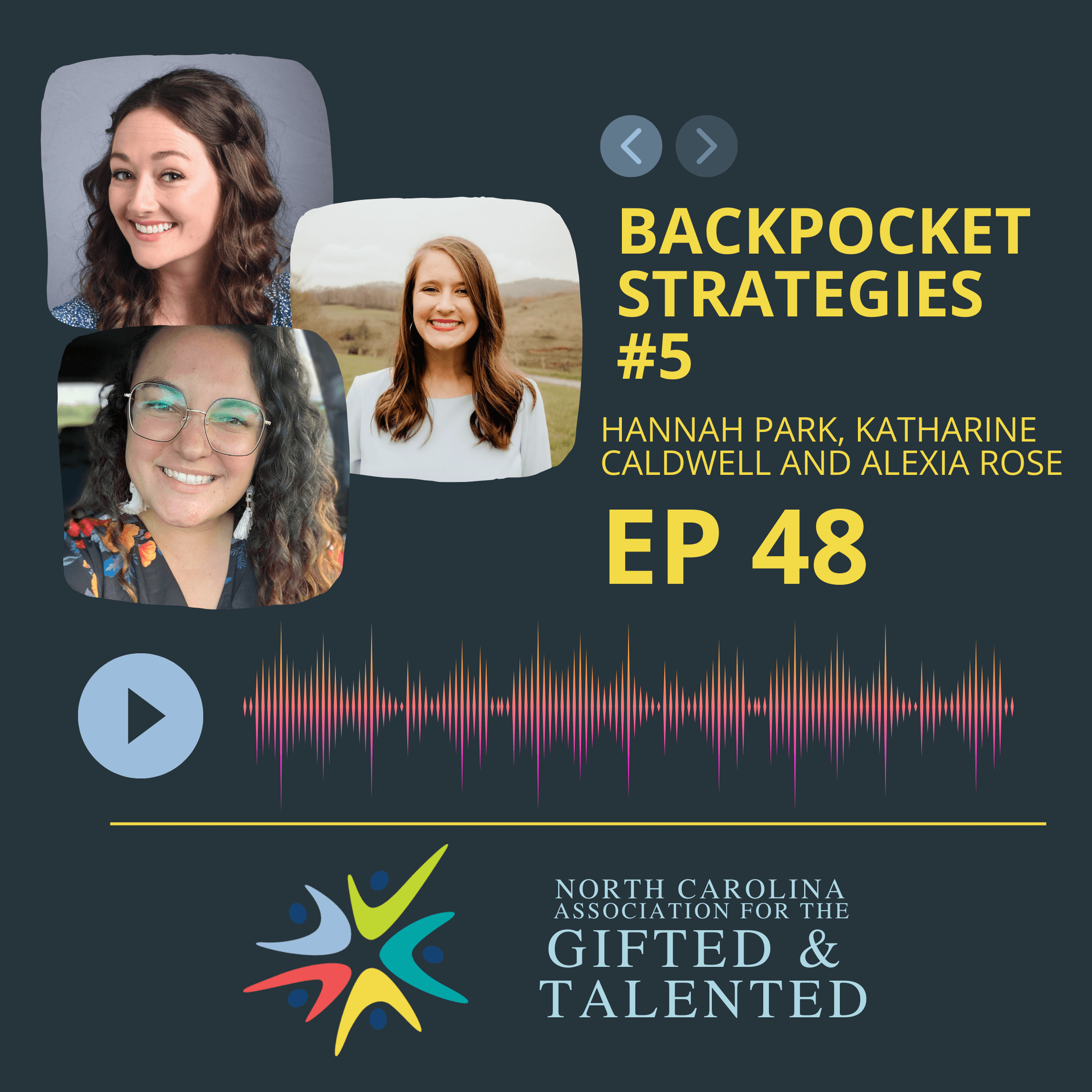 Backpocket Strategies #5 - They'll Be Fine  cover