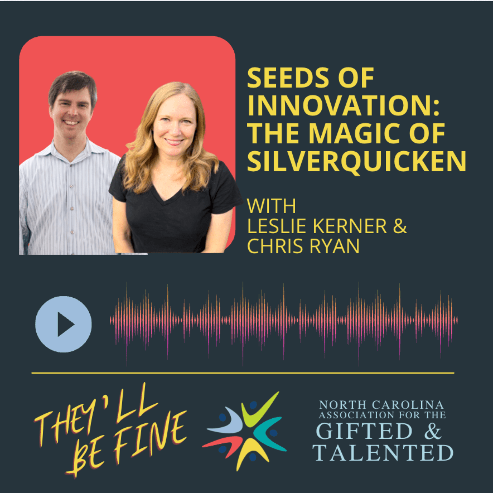 Rerelease: SEED: The Magic of Silverquicken - They'll Be Fine  cover