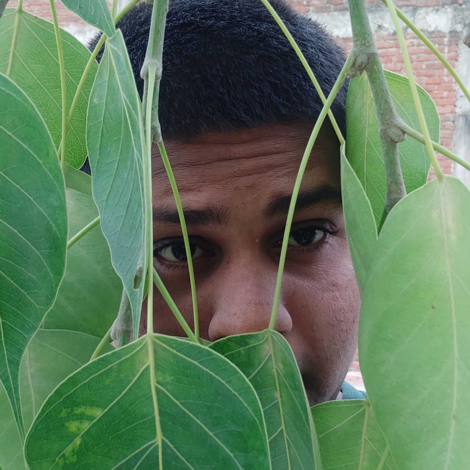 Know more about elon musk(:_ - Know about elon musk cover