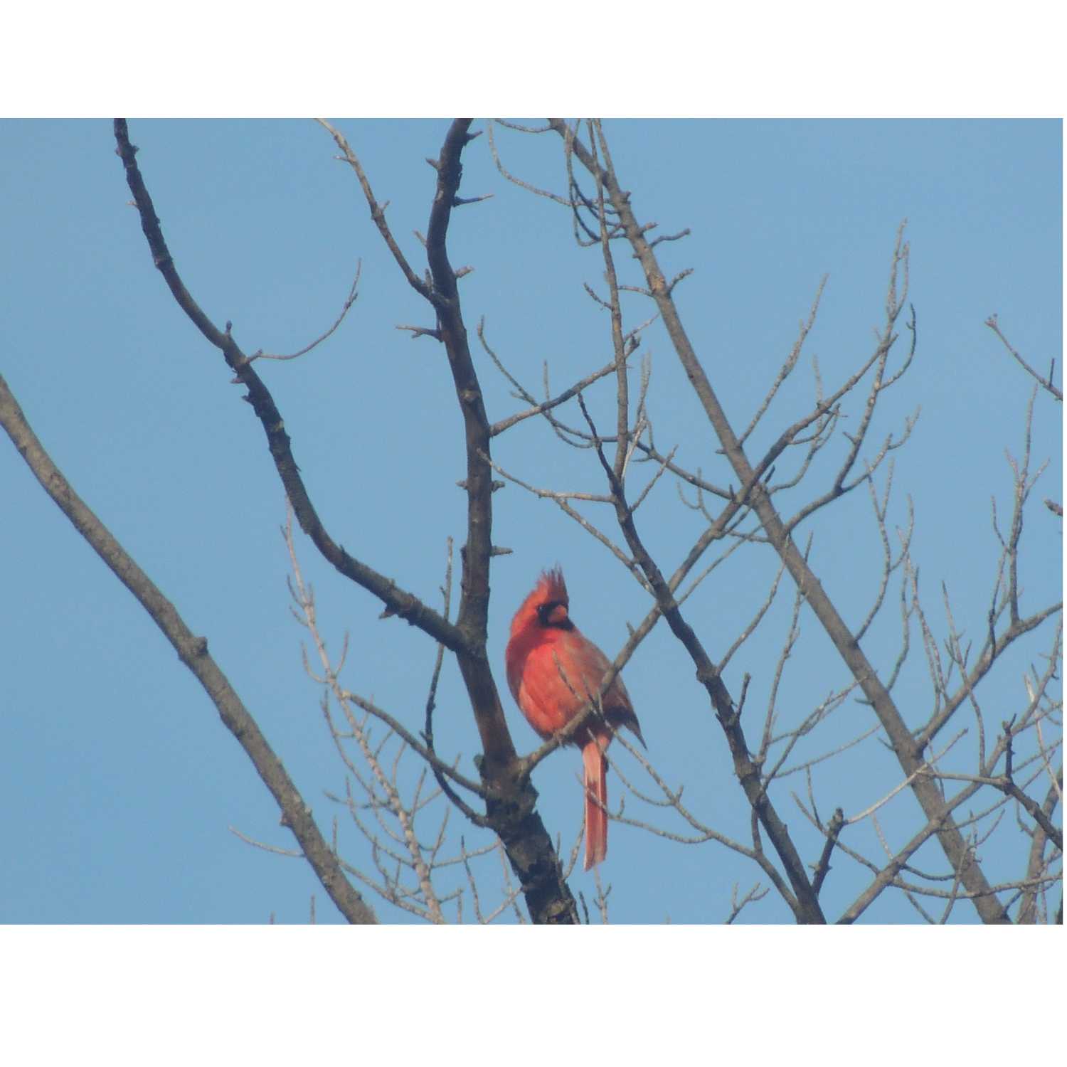 Notes On Spiritual Warfare cover