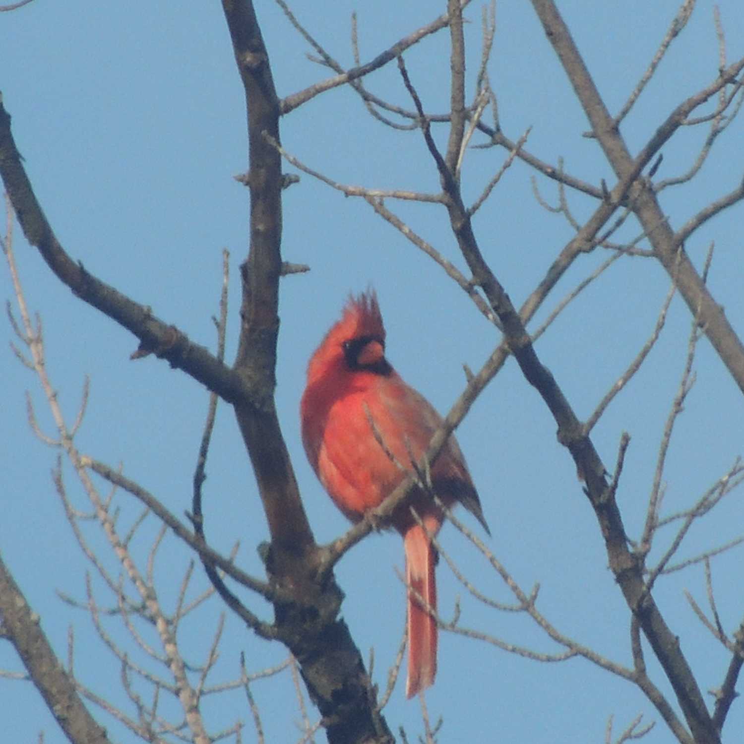 A Prayer for the Weary - Notes On Spiritual Warfare cover