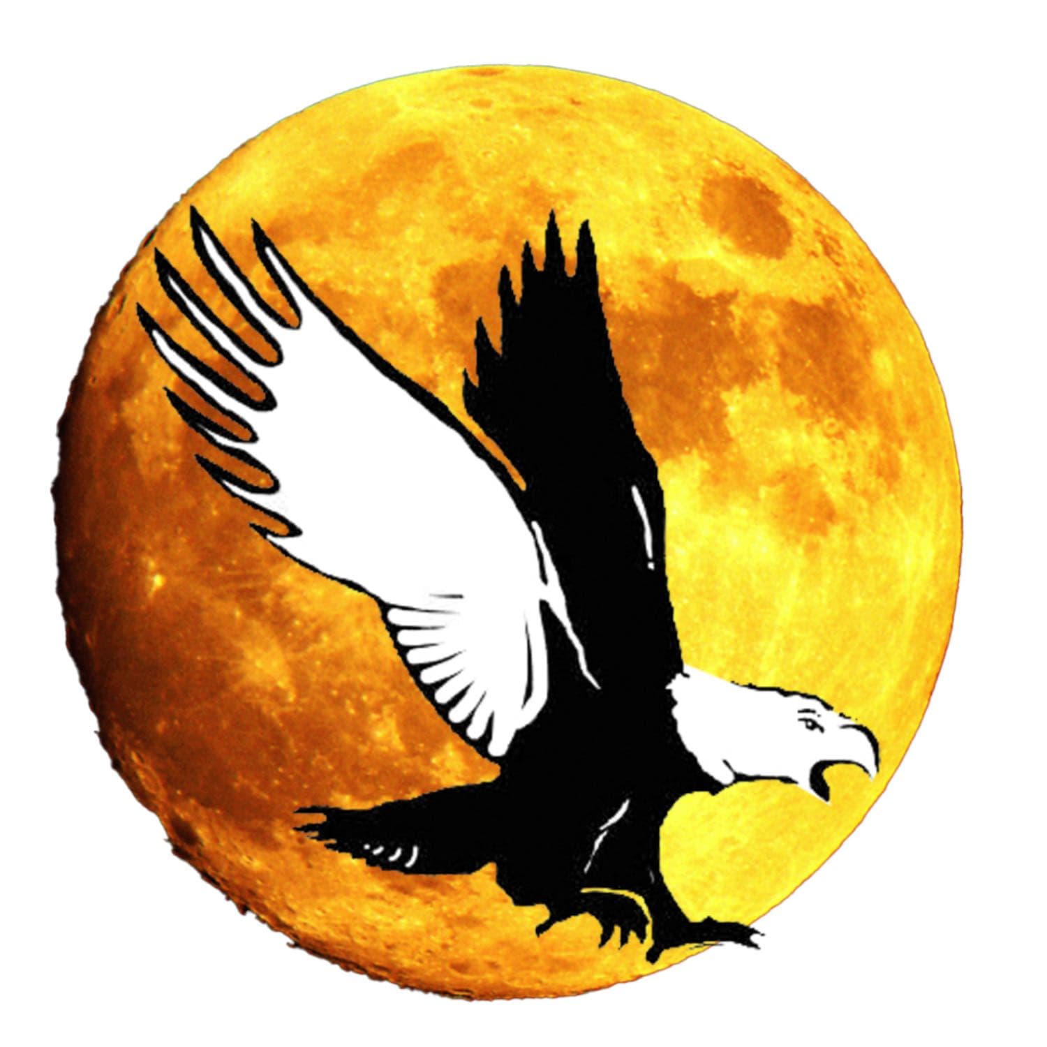 Fullerton Observer  cover