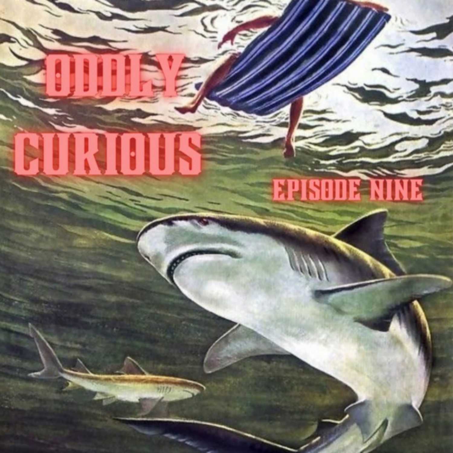 Shark Week - Oddly Curious cover