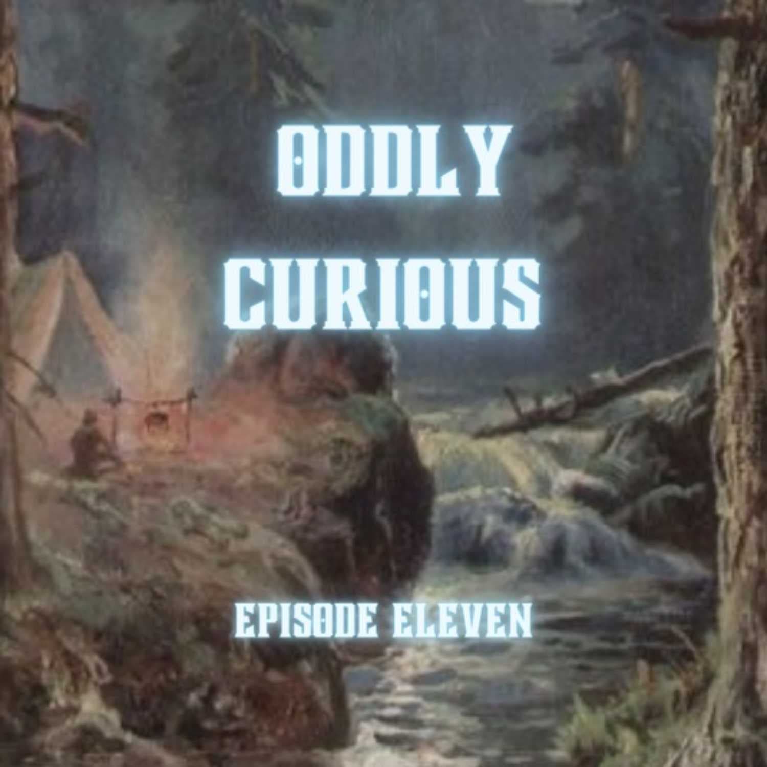 Camping Curiosities - Oddly Curious cover