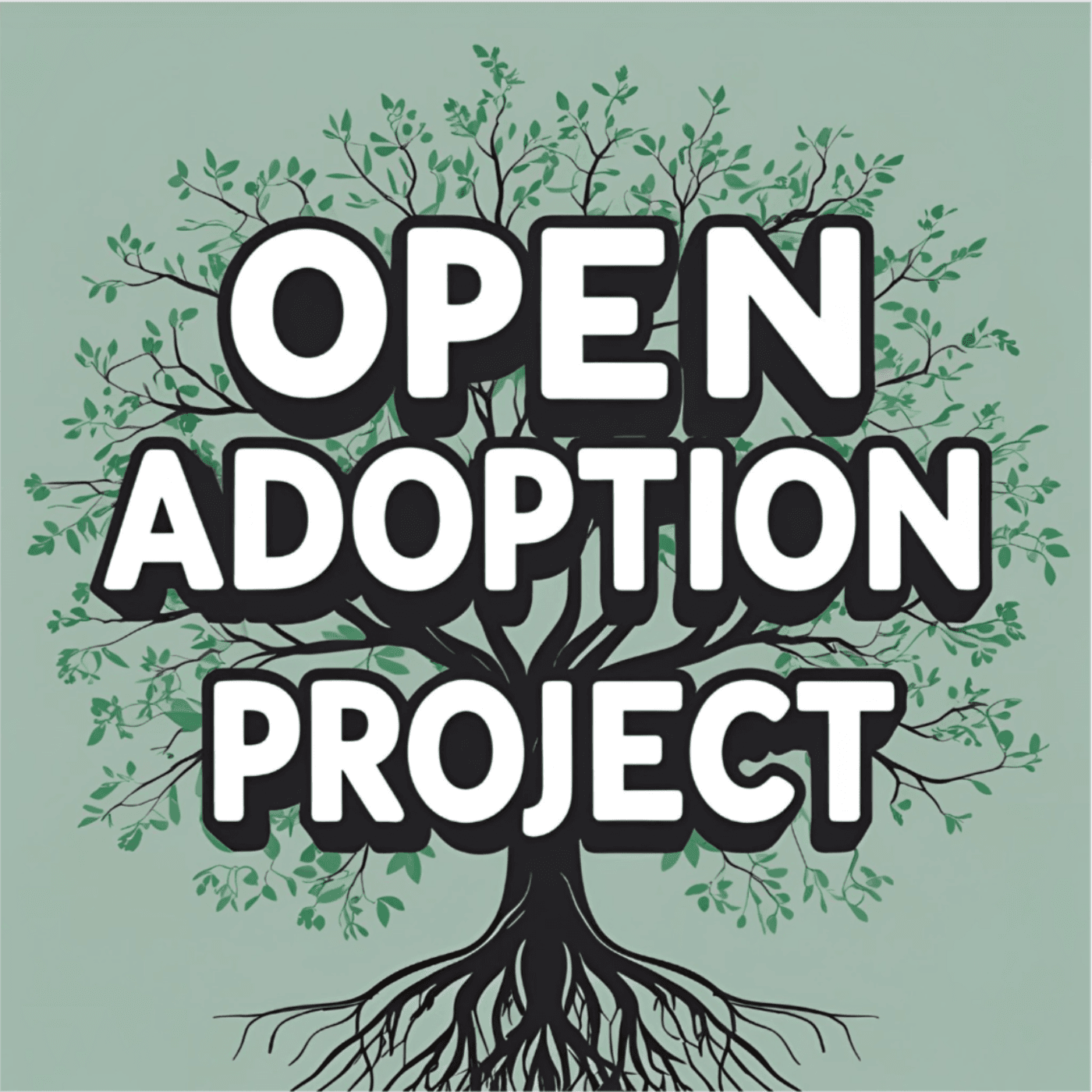 Open Adoption Project cover