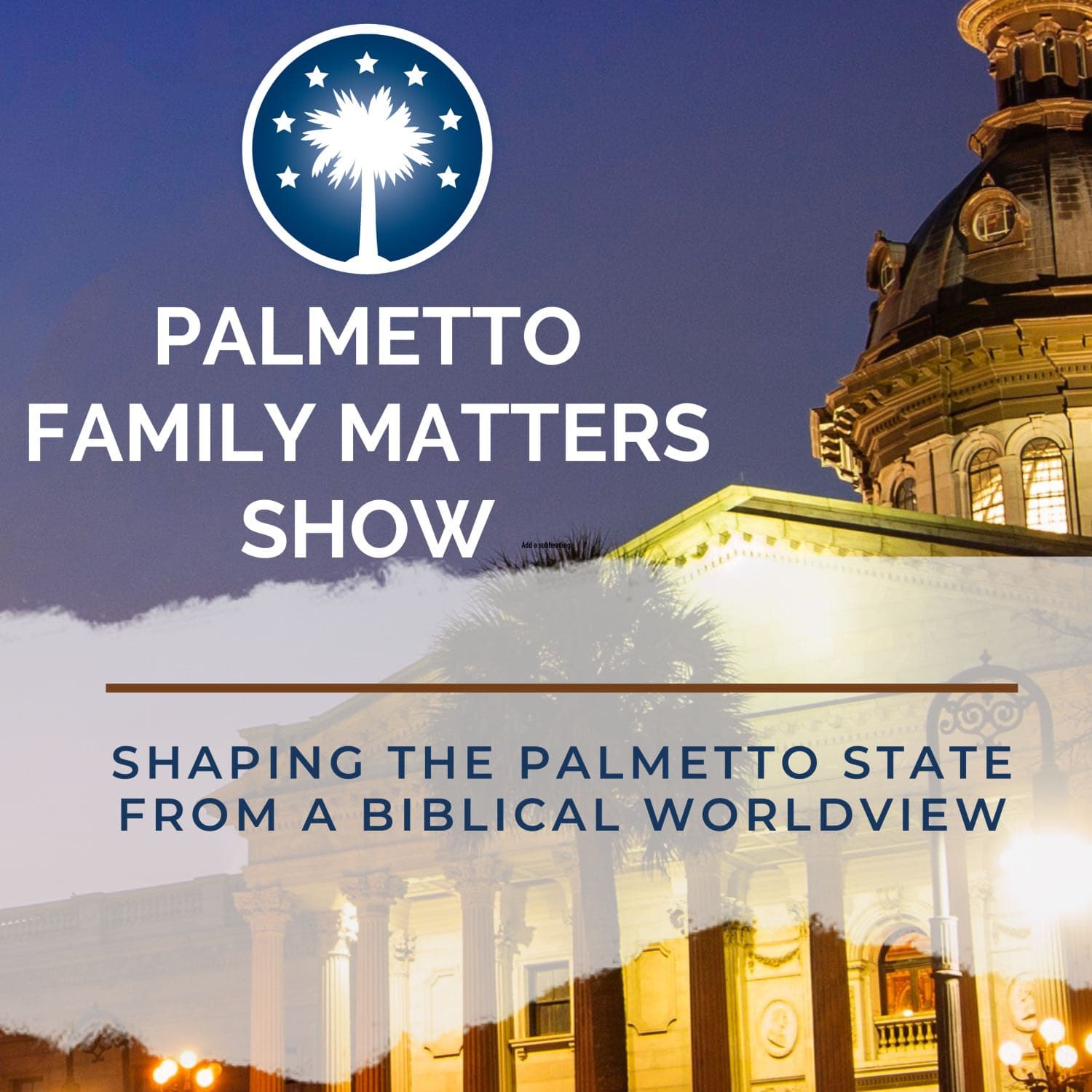 Palmetto Family Matters Show cover