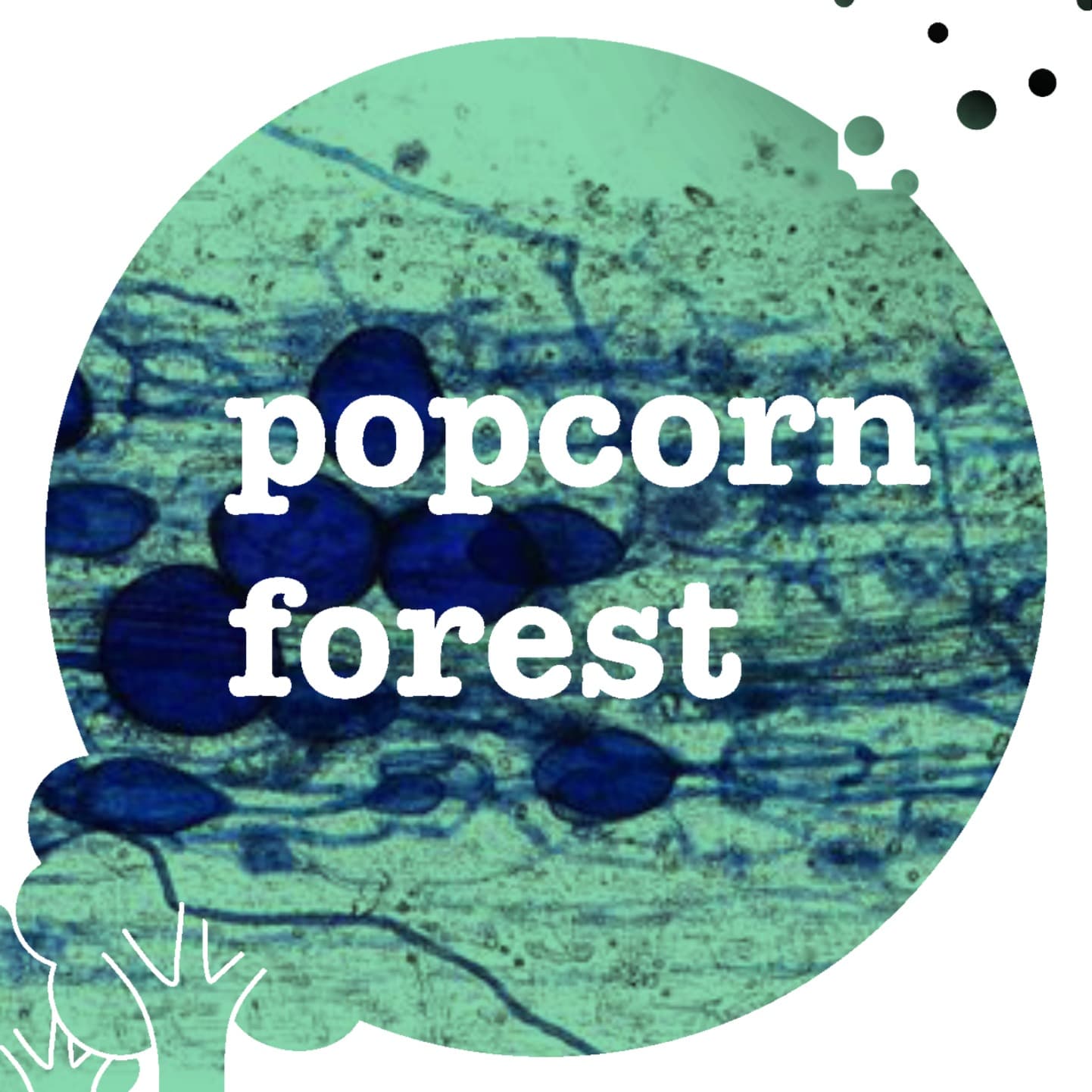 Popcorn Forest cover