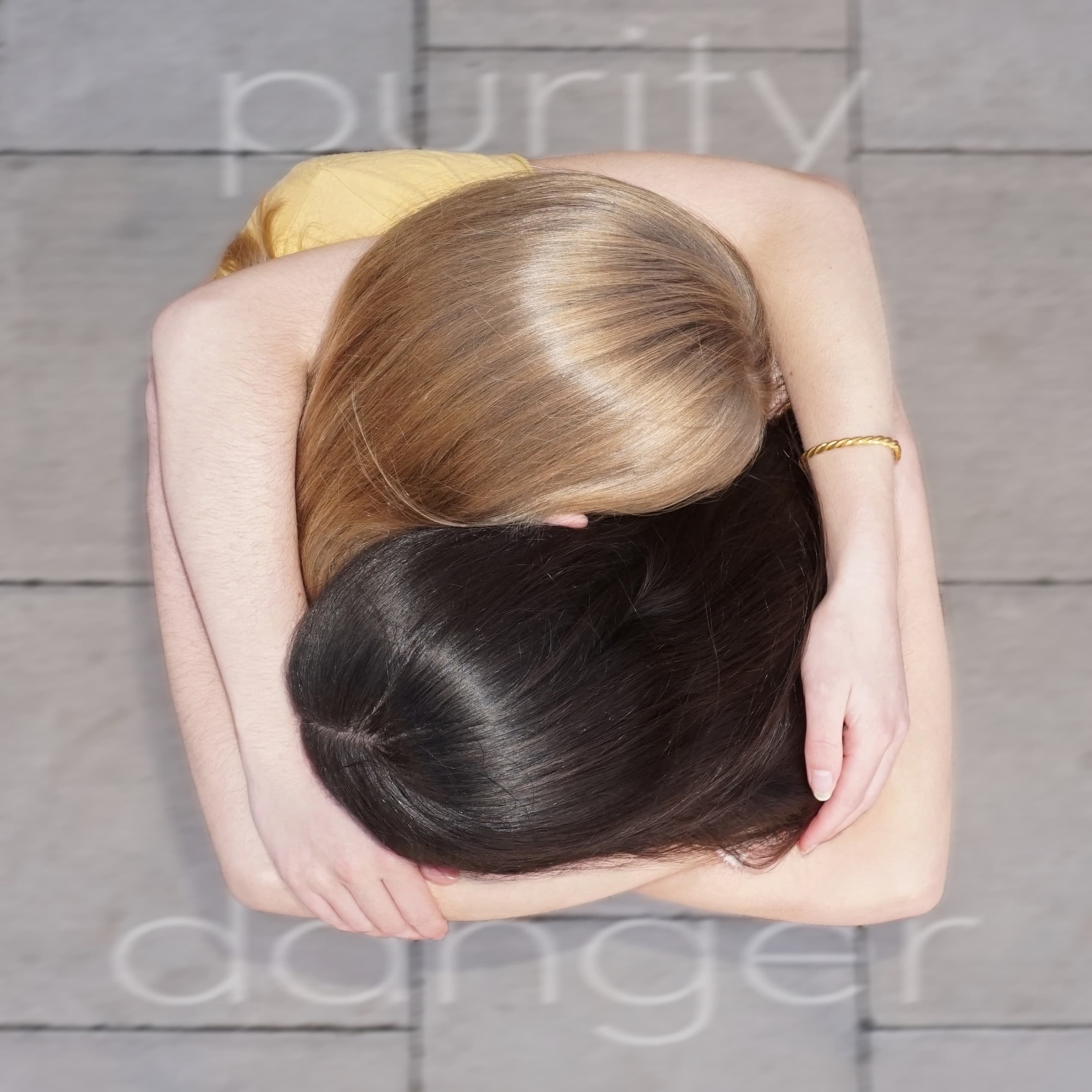 Purity & Danger  cover