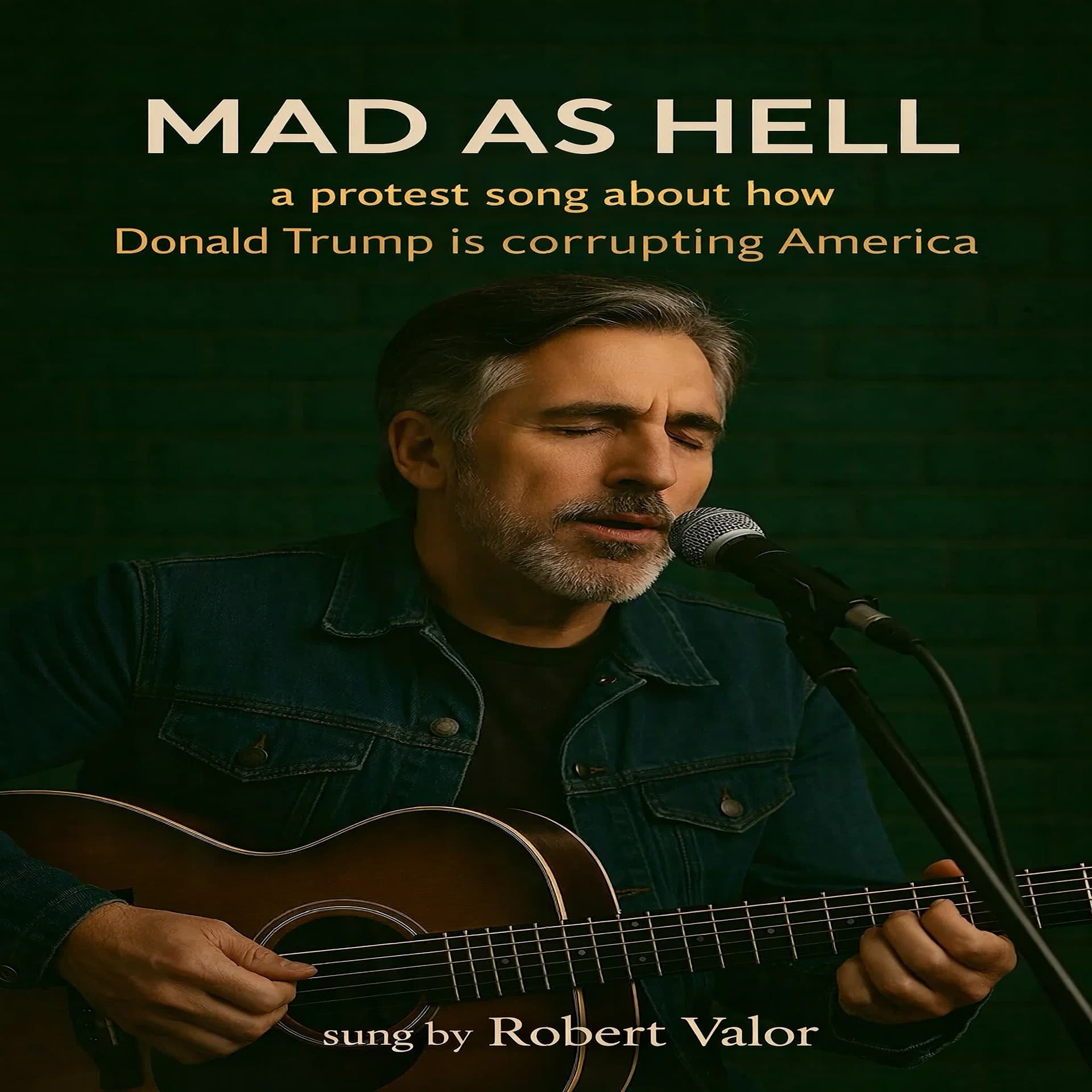 PROMO SONG MAD AS HELL - ROBERT VALOR MUSIC   (Producer/Songwriter) cover