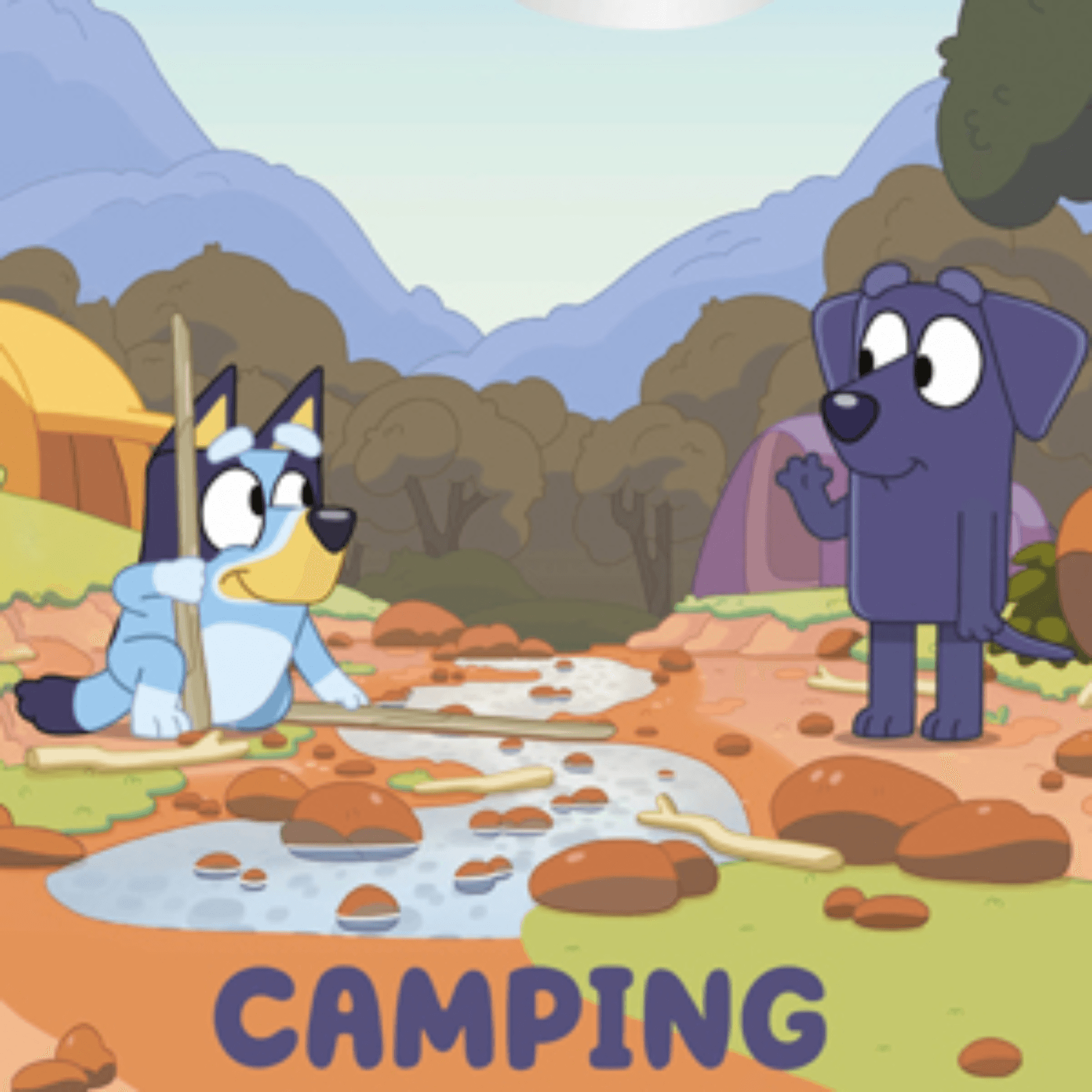 Bluey: Camping - Ryan's Room cover