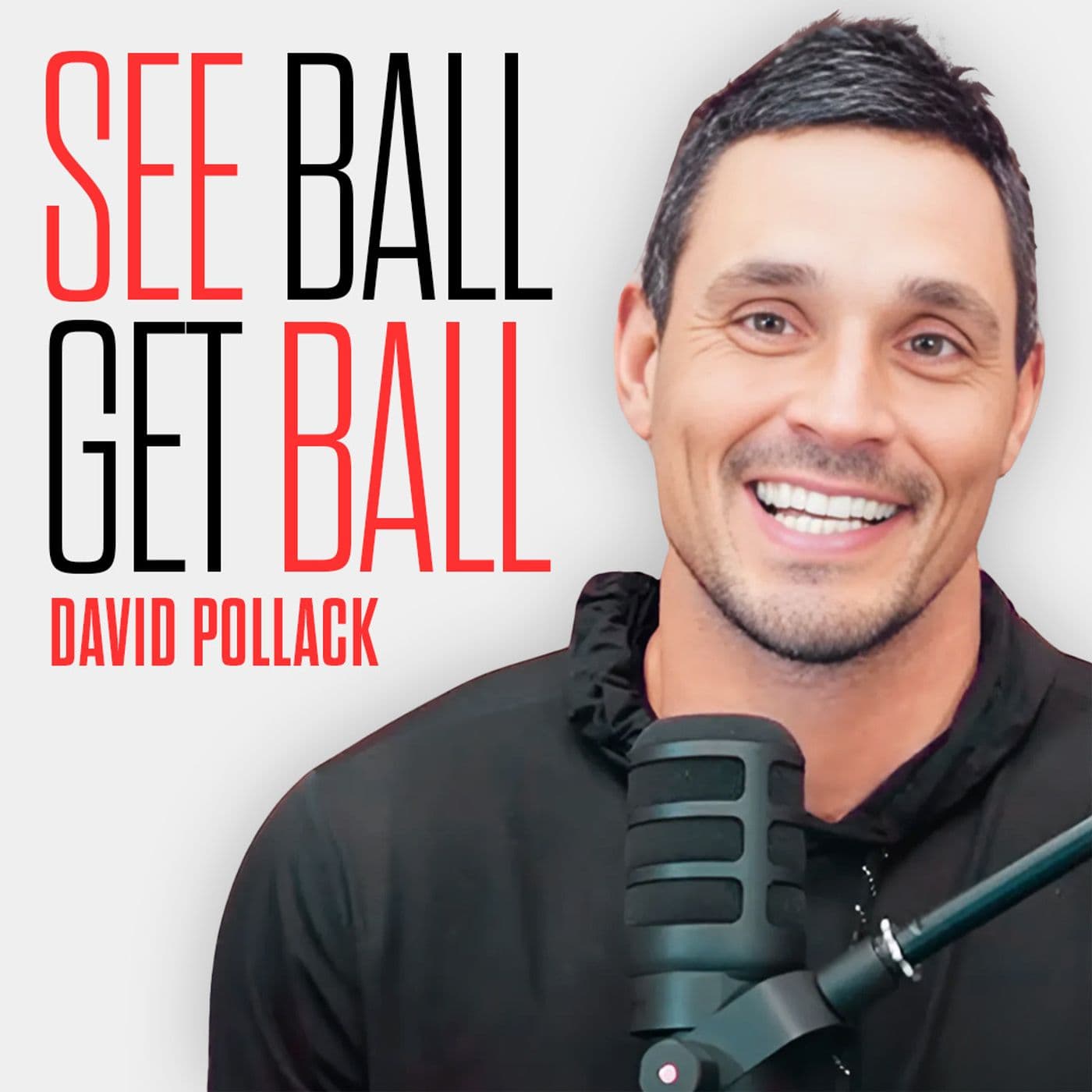 See Ball Get Ball with David Pollack cover