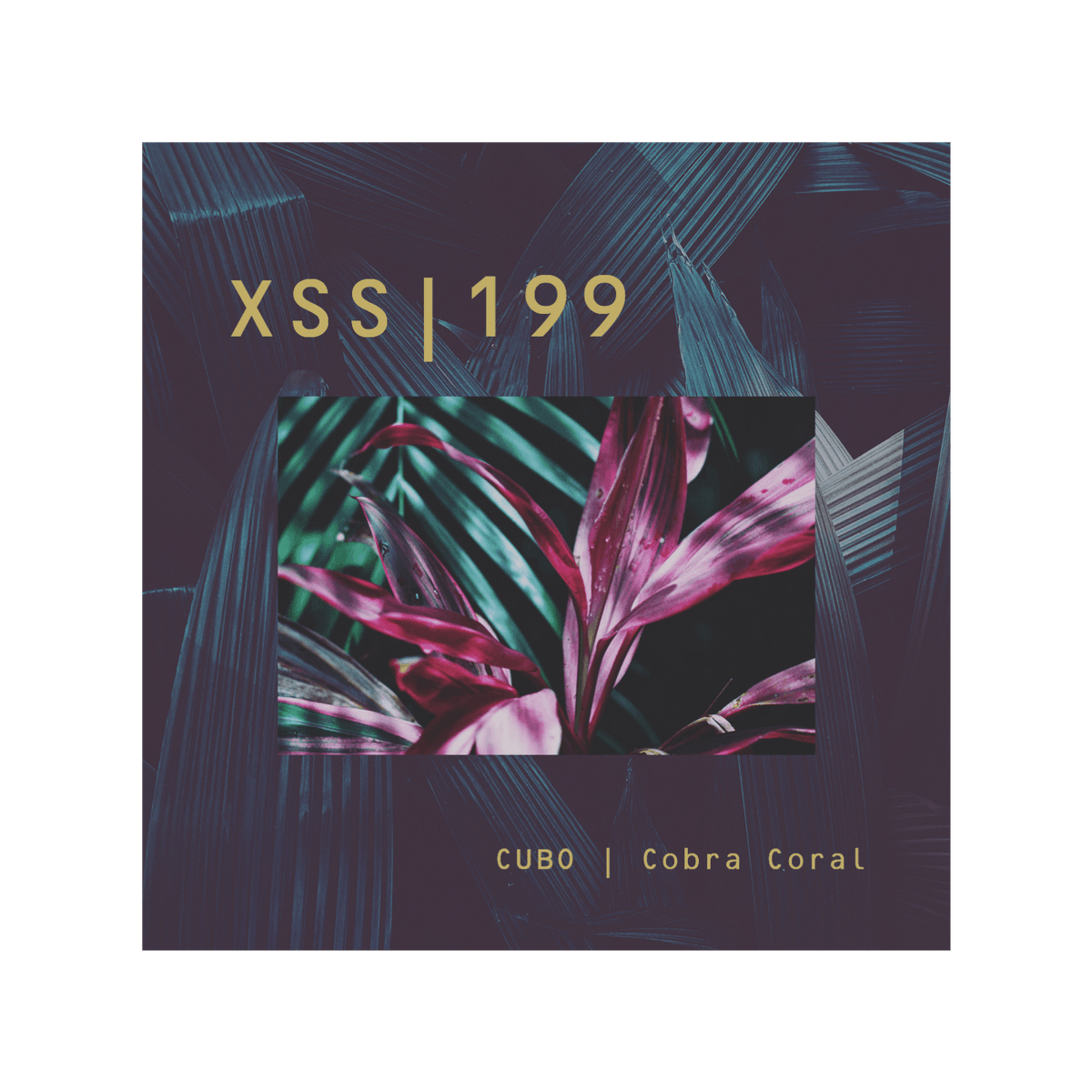 XSS199 | Cubo | Cobra Coral - Silum Soundz cover
