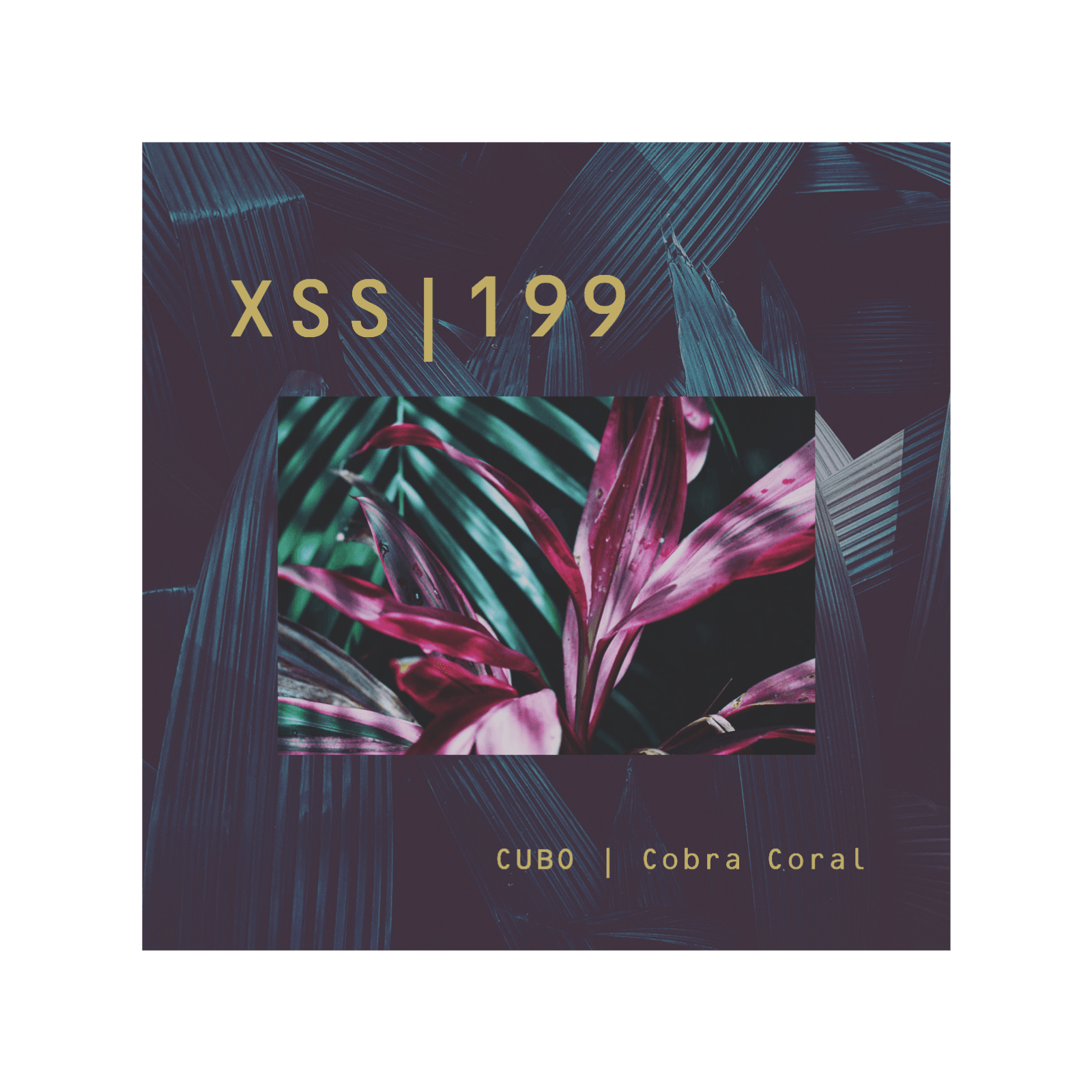 XSS199 | Cubo | Cobra Coral - Silum Soundz cover