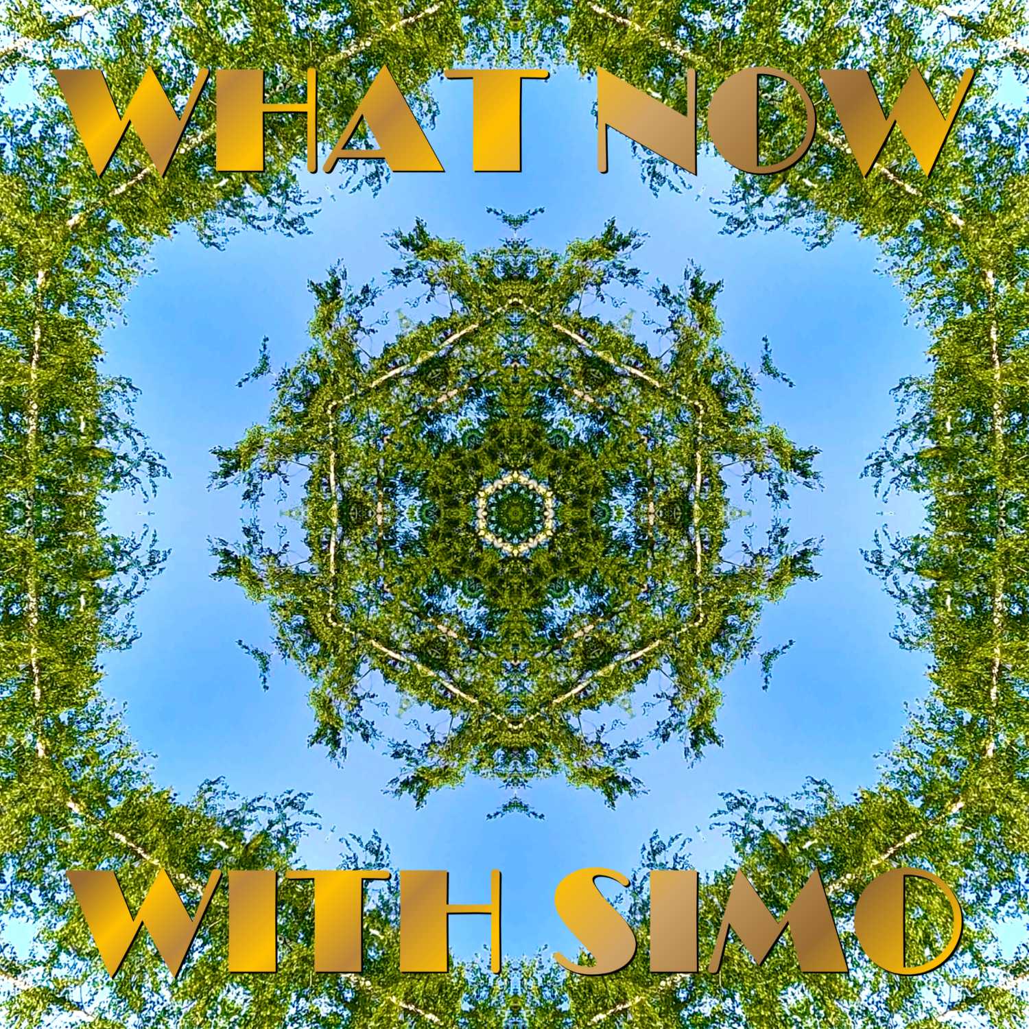 2.7 Wavelengths, Imagination, and Connecting — What Now with Simo cover