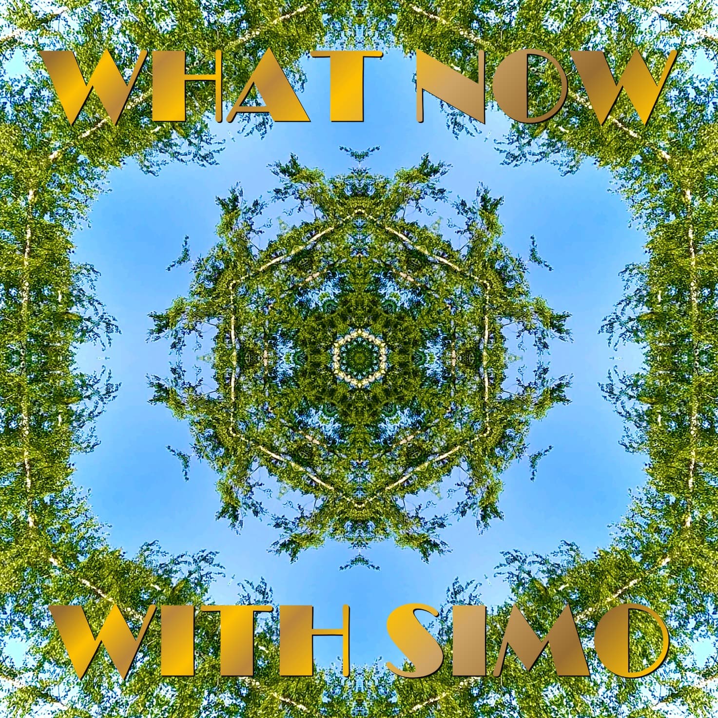 5.17 End, Middle, and Beginning — What Now with Simo cover