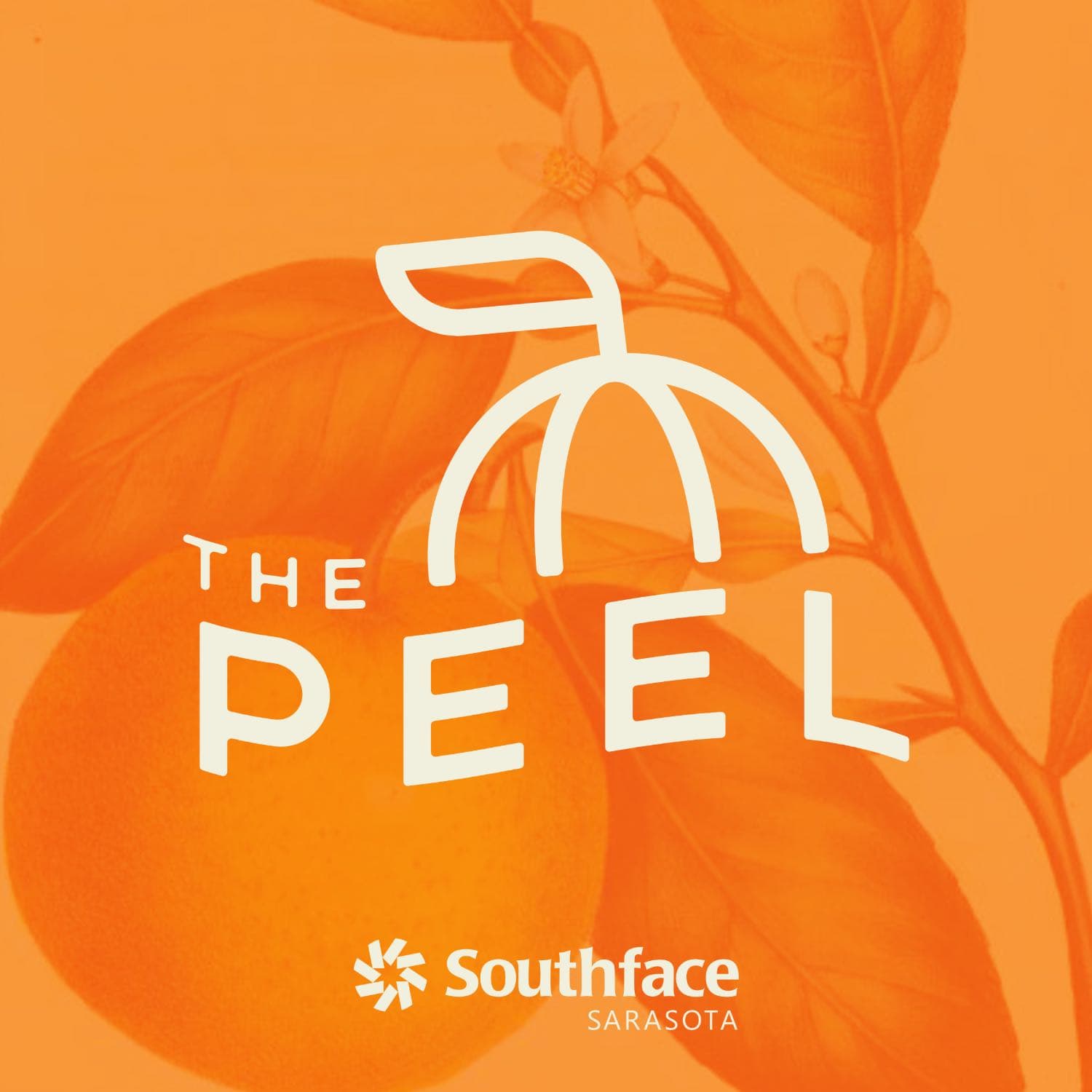 The Peel cover