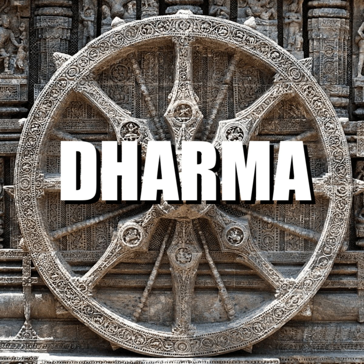 Laws of the Universe compared with the Laws created by Humans . Why is it important in the 21st Century? - Fear Is the First Infection that Spread and Kill, and Not the Virus during Post-Antibiotic Era. cover