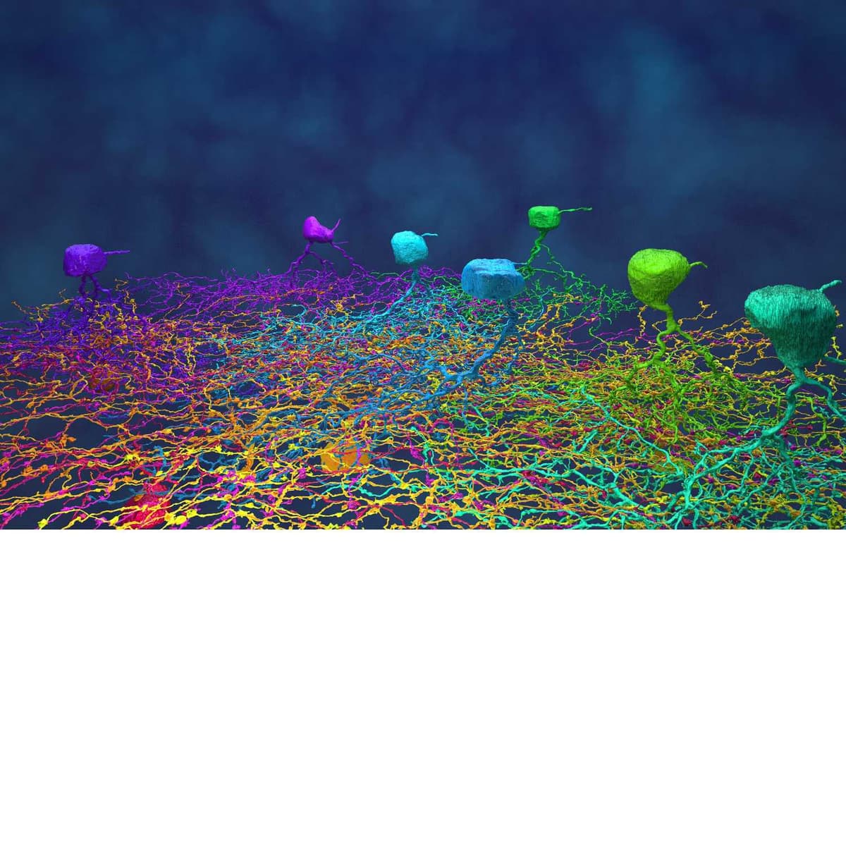 Perception of speech sounds in a pediatric population with speech sound disability - Sean DA's Sensation & Perception Outreach Podcast cover