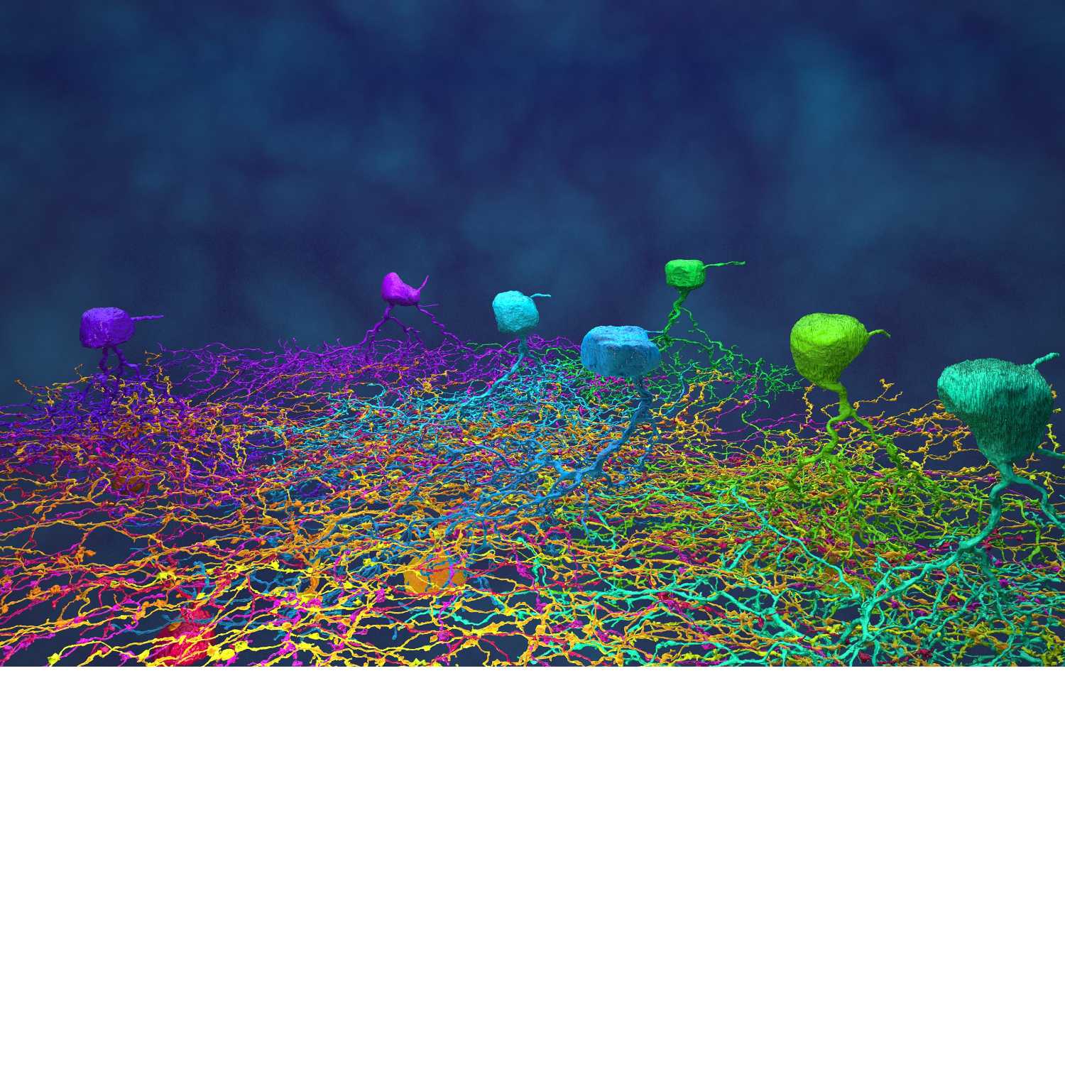 Sean DA's Sensation & Perception Outreach Podcast cover