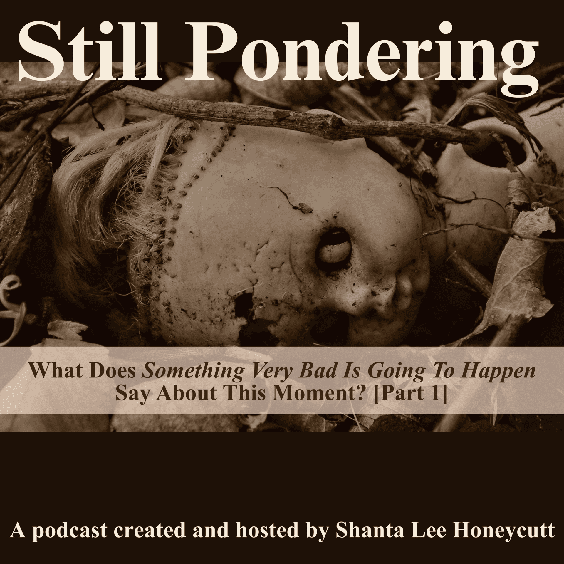 What Does Something Very Bad Is Going To Happen Say About This Moment? ( Part 1) - Still Pondering cover