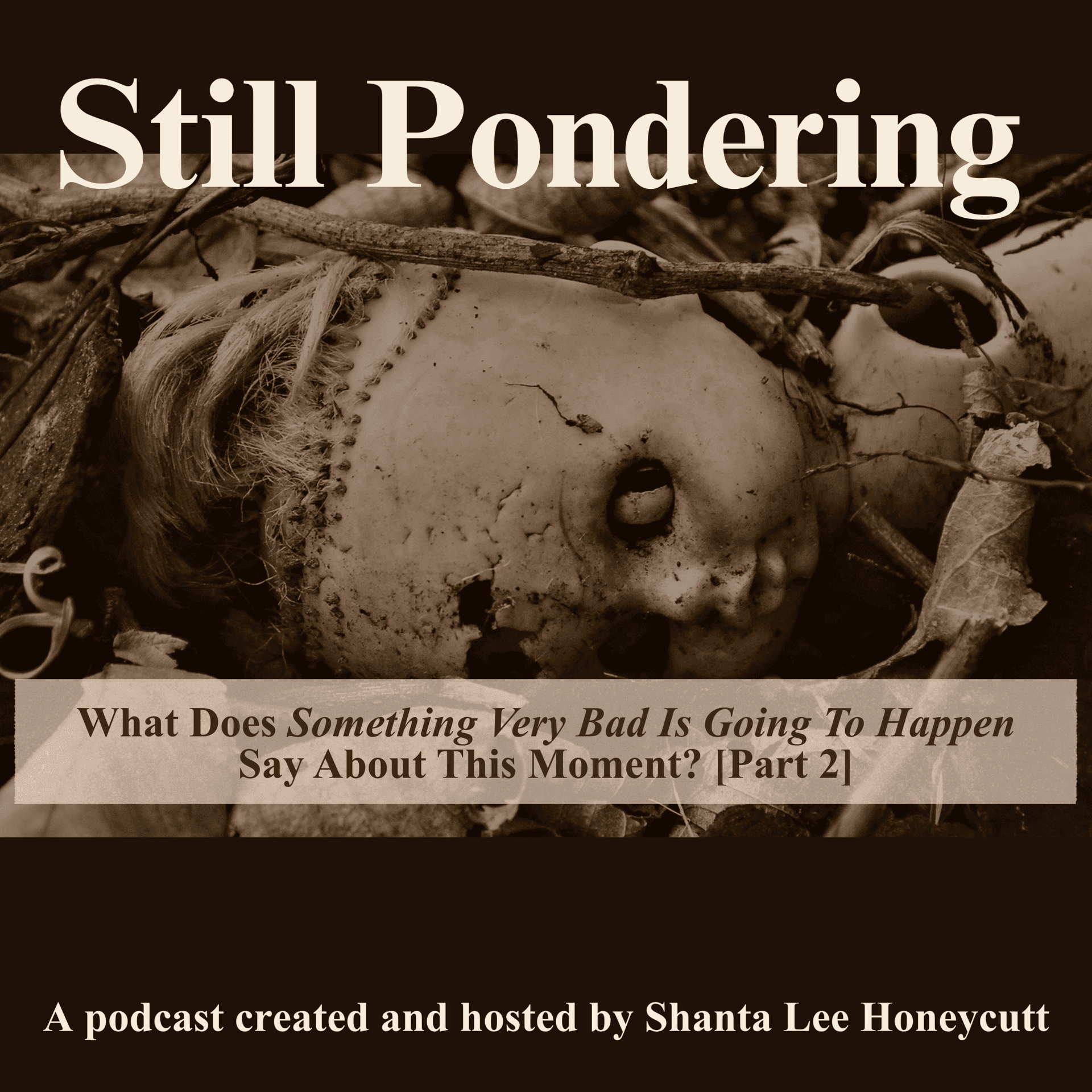 What Does Something Very Bad Is Going To Happen Say About This Moment? ( Part 2) - Still Pondering cover
