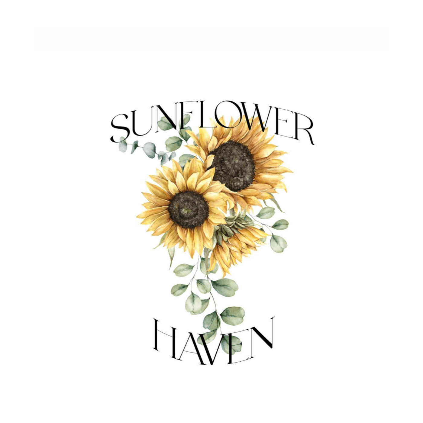 sunflower haven  cover