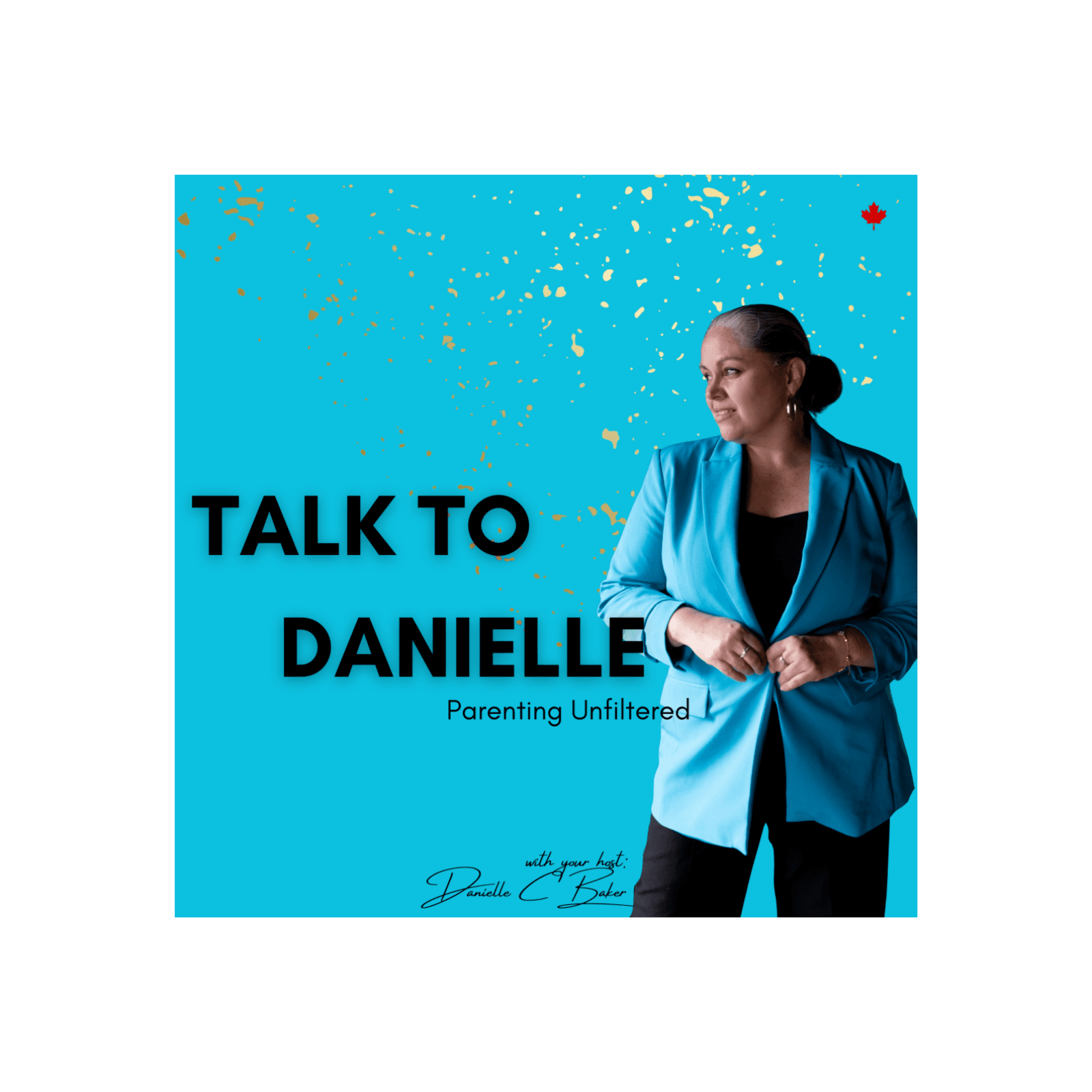 Talk To Danielle cover