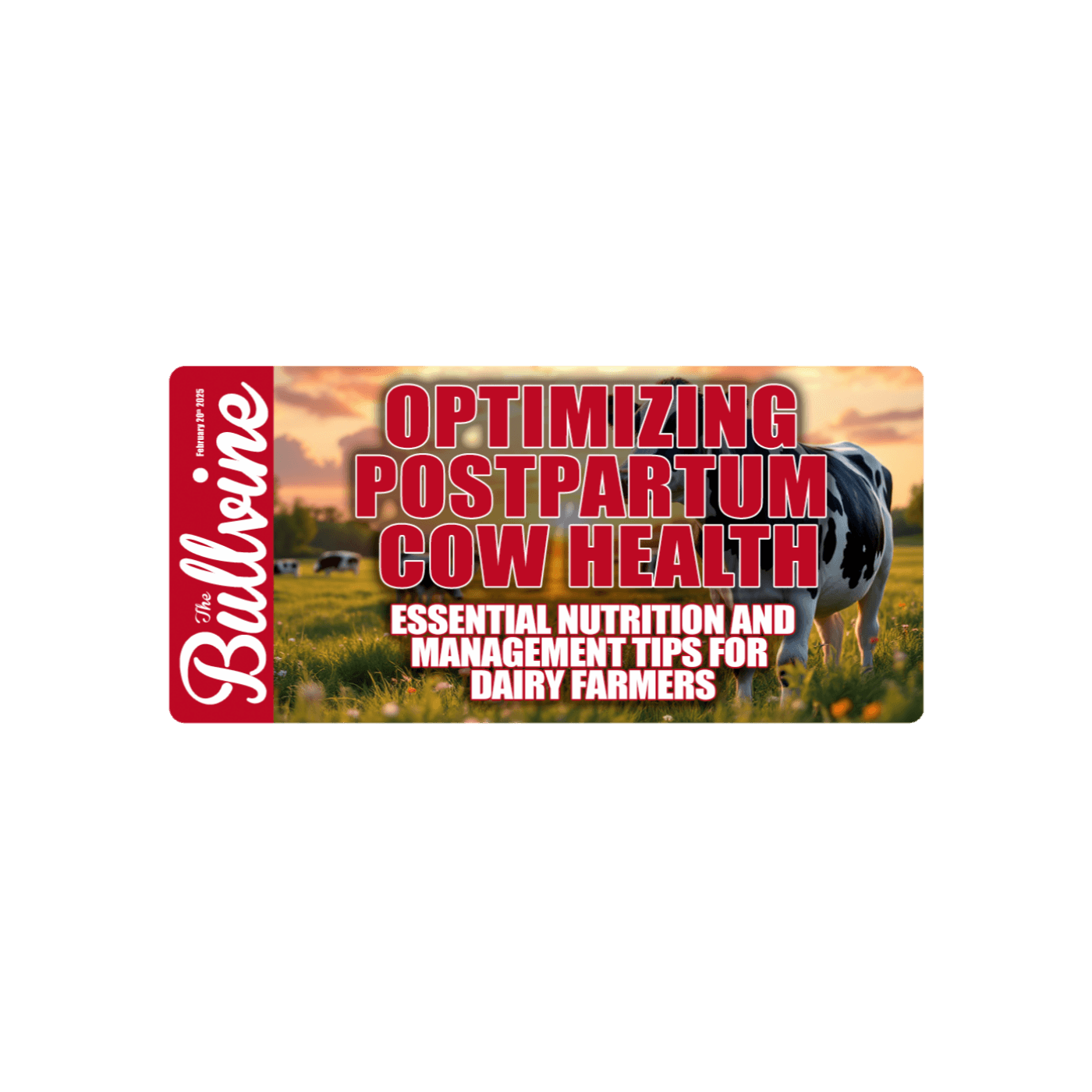 E176 Optimizing Postpartum Cow Health: Essential Nutrition and Management Tips for Dairy Farmers - The Bullvine cover