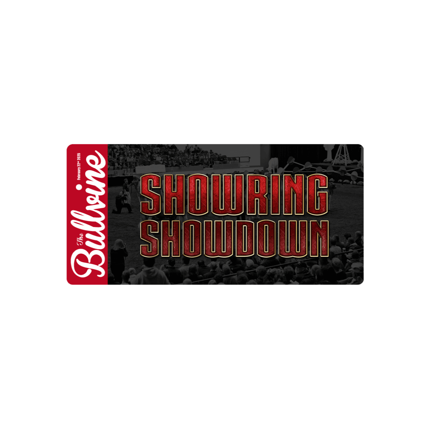 E178 The Show Ring Showdown—Why Bigger Isn’t Always Better  - The Bullvine cover