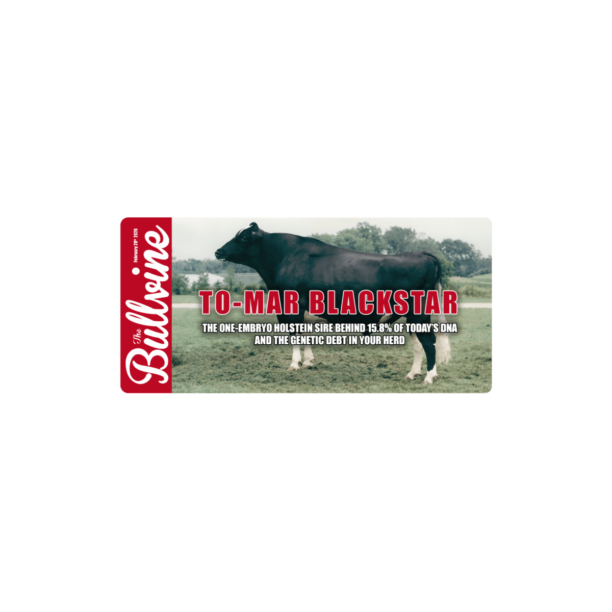 E502 To-Mar Blackstar: The One-Embryo Holstein Sire Behind 15.8% of Today’s DNA – and the Genetic Debt in Your Herd - The Bullvine cover
