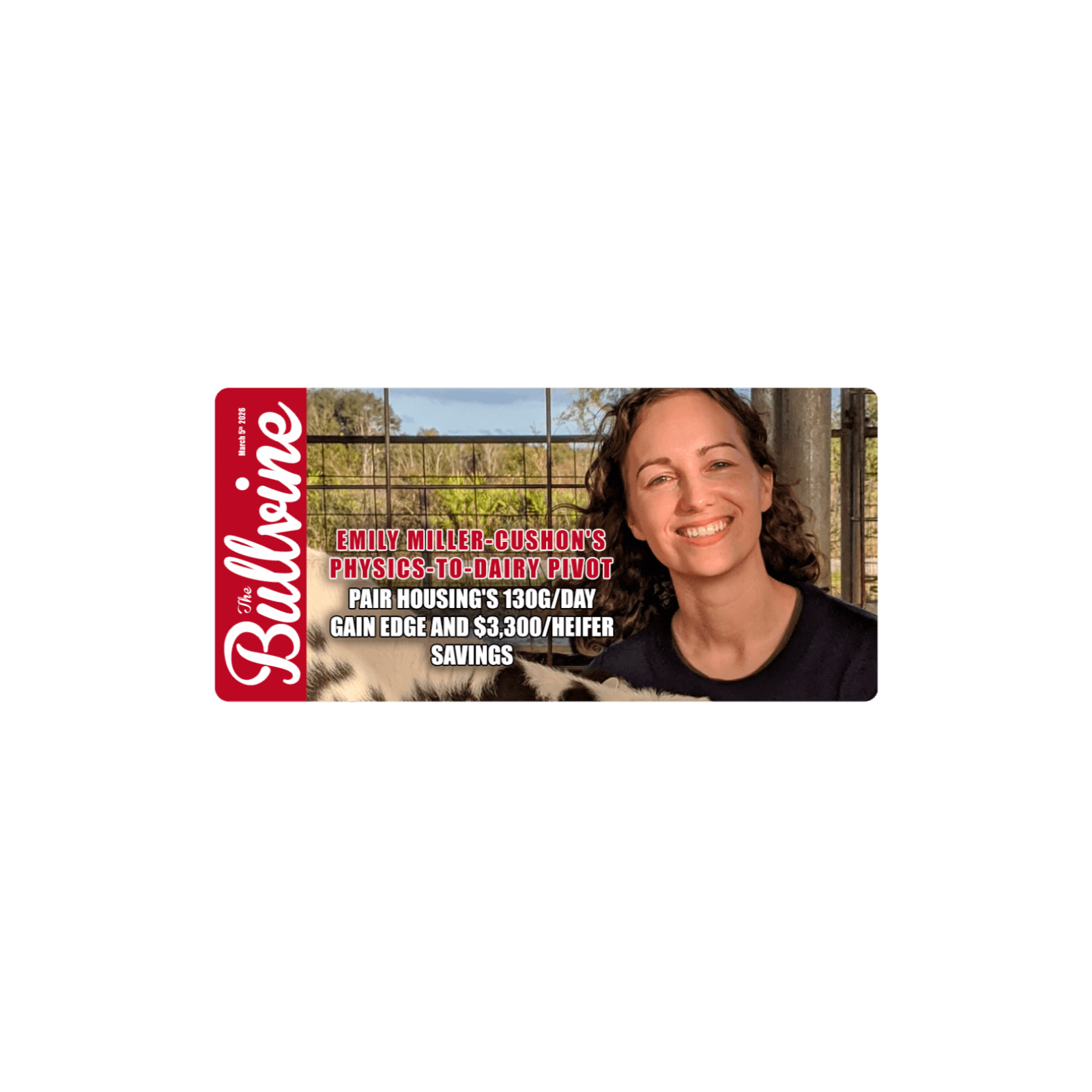 E506 Emily Miller-Cushon’s Physics-to-Dairy Pivot: Pair Housing’s 130g/Day Gain Edge and $3,300/Heifer Savings — The Bullvine cover