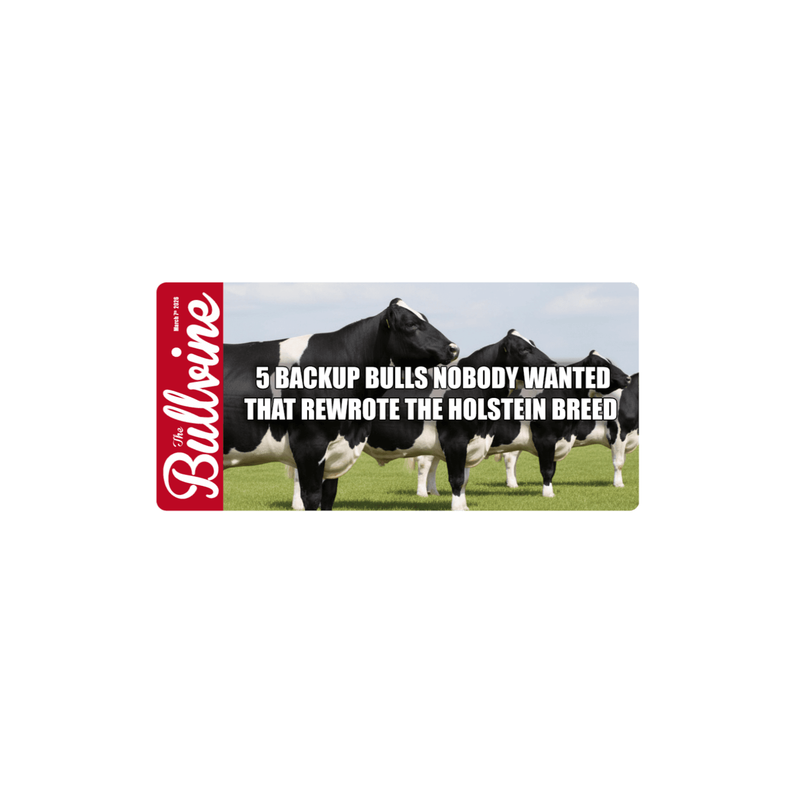 E508 5 Backup Bulls Nobody Wanted That Rewrote the Holstein Breed  - The Bullvine cover