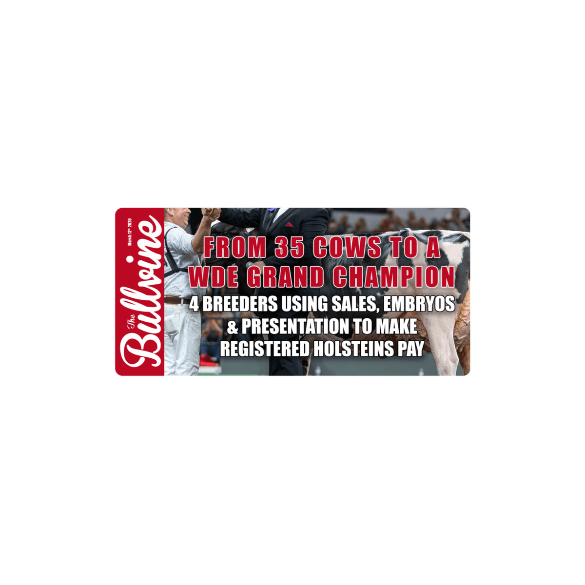 E512 From 35 Cows to a WDE Grand Champion: 4 Breeders Using Sales, Embryos & Presentation to Make Registered Holsteins Pay - The Bullvine cover