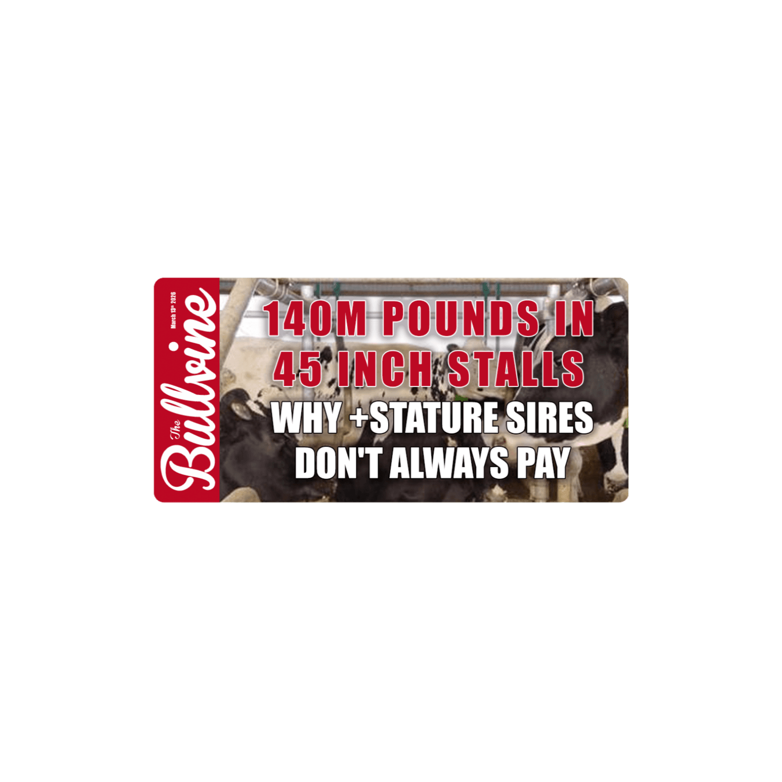 E513 140M Pounds in 45‑Inch Stalls: Why +Stature Sires Don’t Always Pay - The Bullvine cover