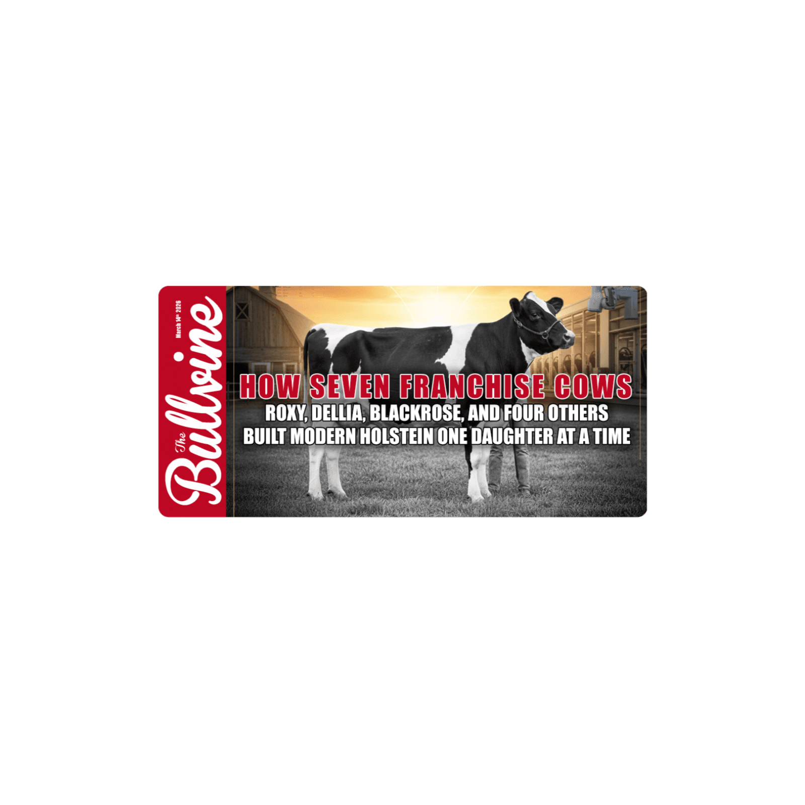 E514 How Seven Franchise Cows: Roxy, Dellia, Blackrose, and Four Others Built Modern Holstein – One Daughter at a Time - The Bullvine cover